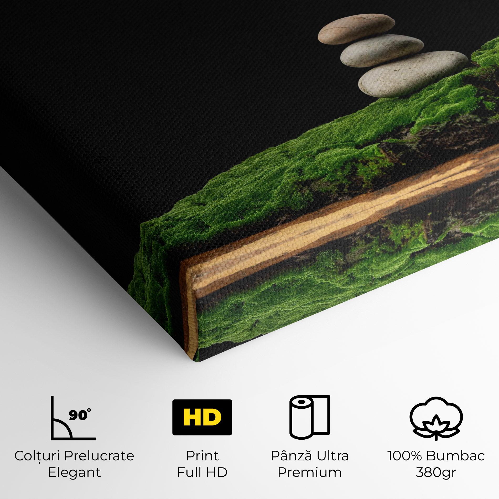Tablou Canvas Three Stone Moss mockup 4