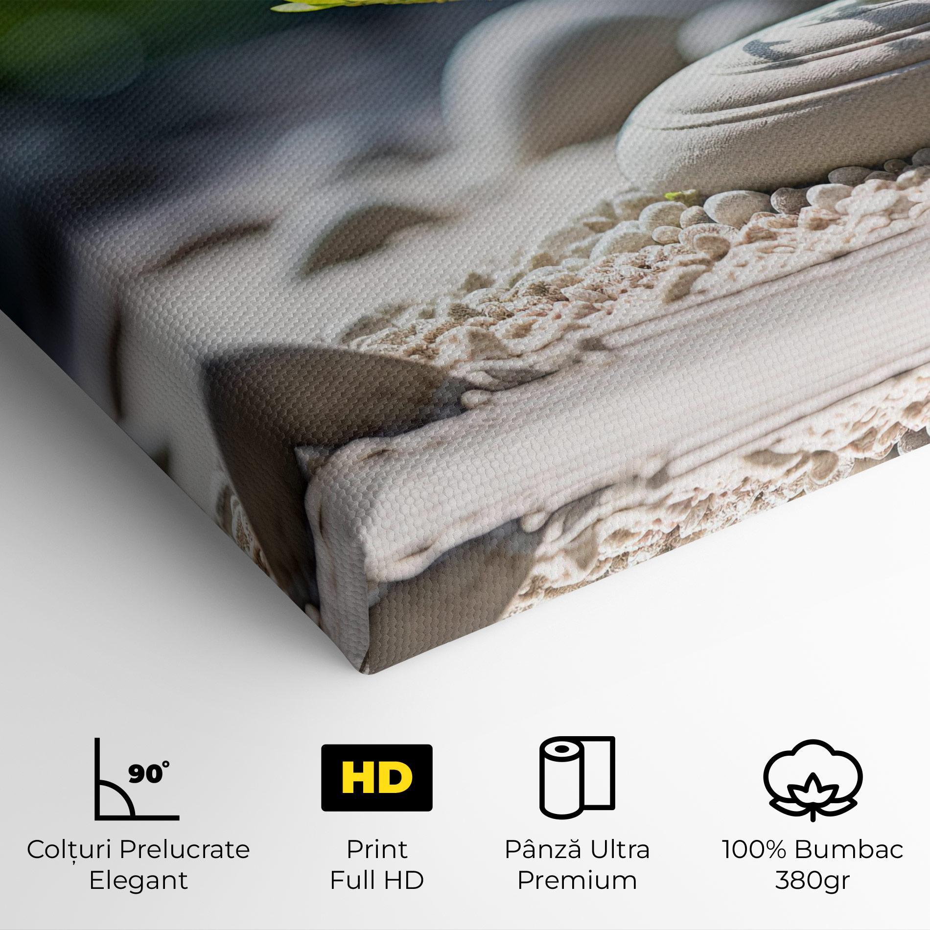 Tablou Canvas White Pebbles Plants mockup 4