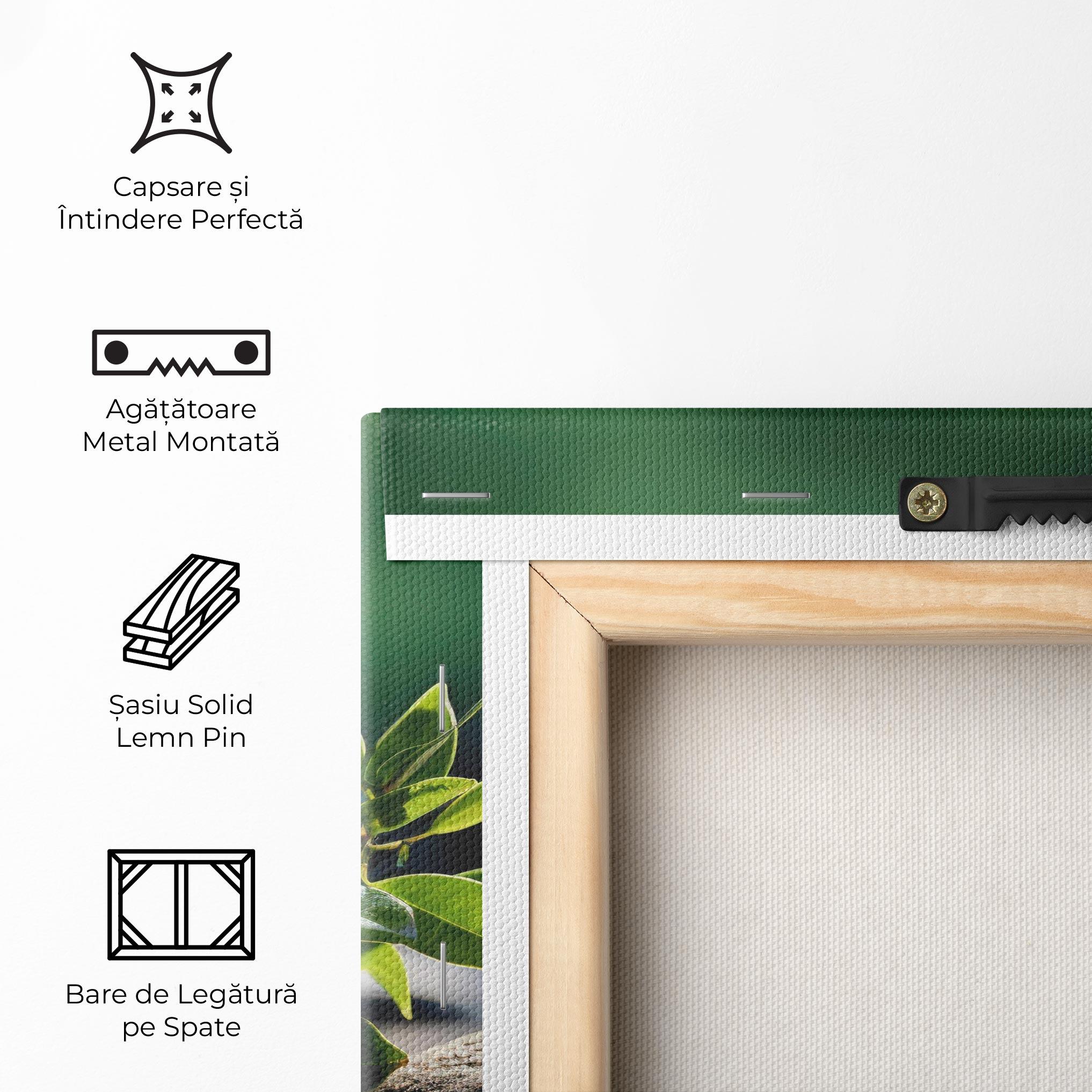 Tablou Canvas Cinematic Stones mockup 5