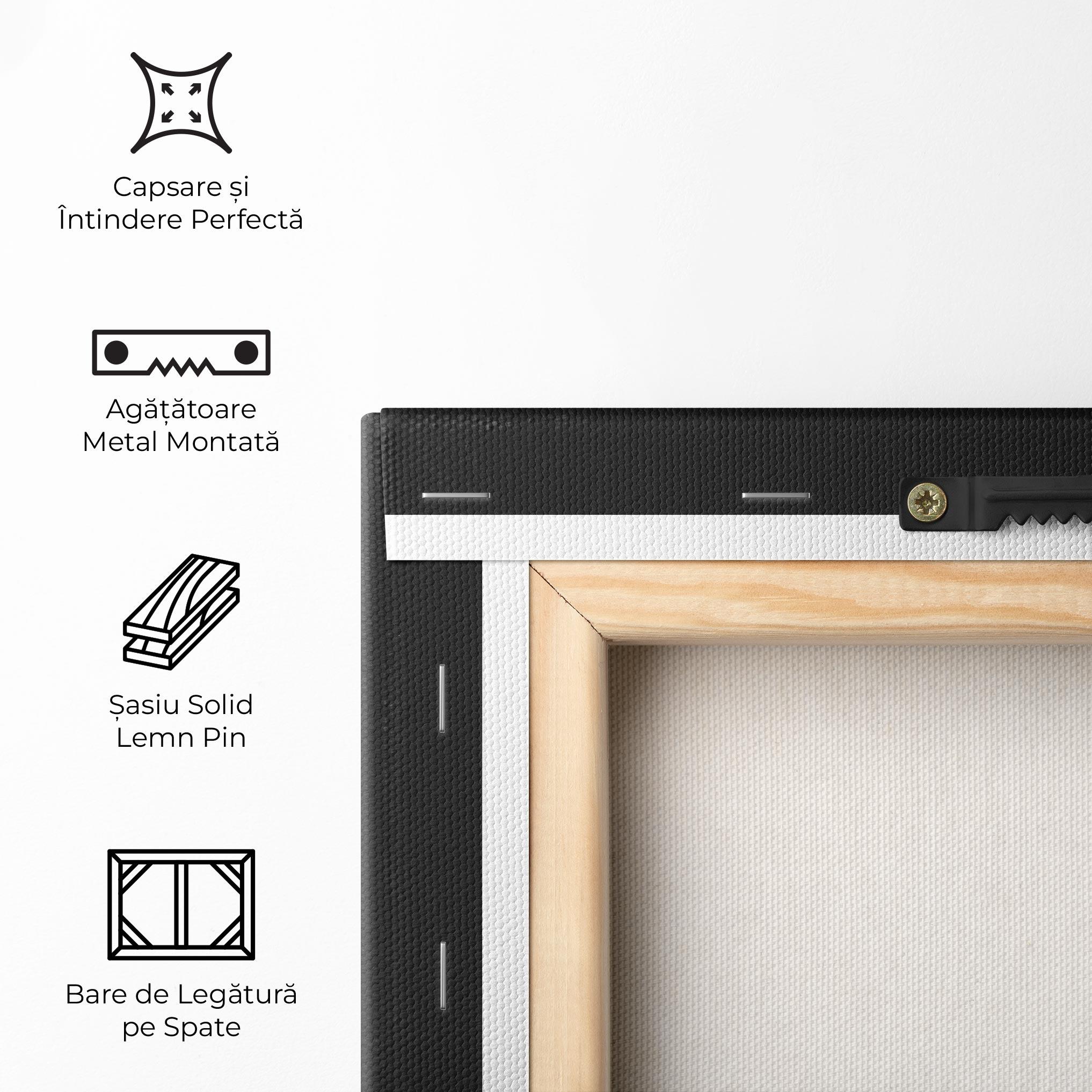 Tablou Canvas Three Stone Moss mockup 5
