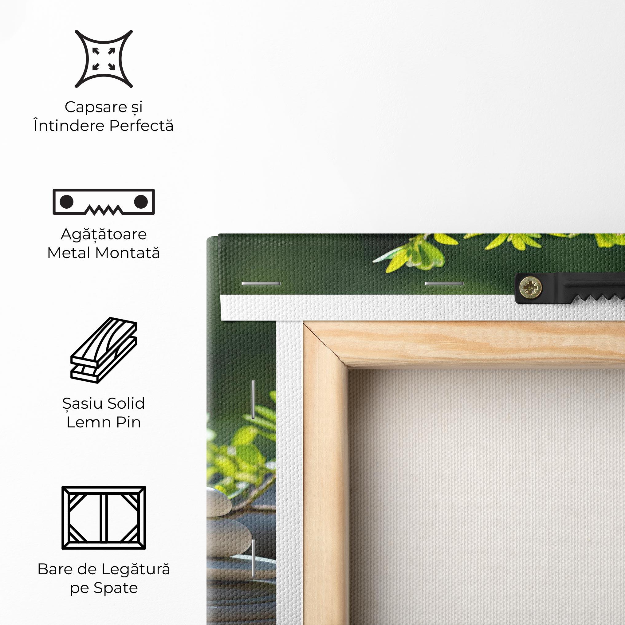 Tablou Canvas White Pebbles Plants mockup 5