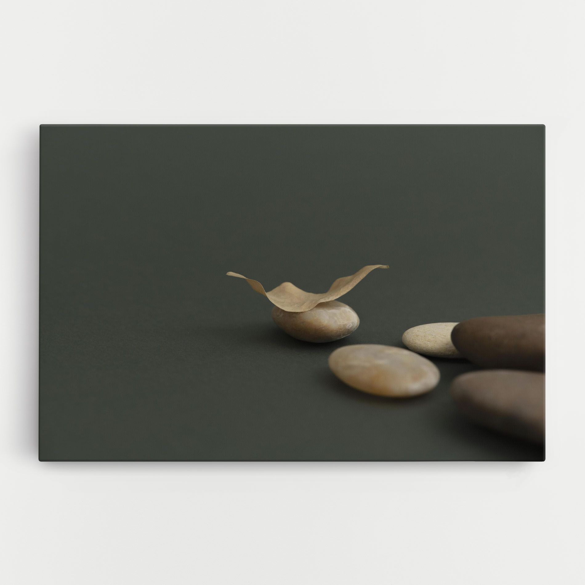 Zen Stones On Green mockup 0