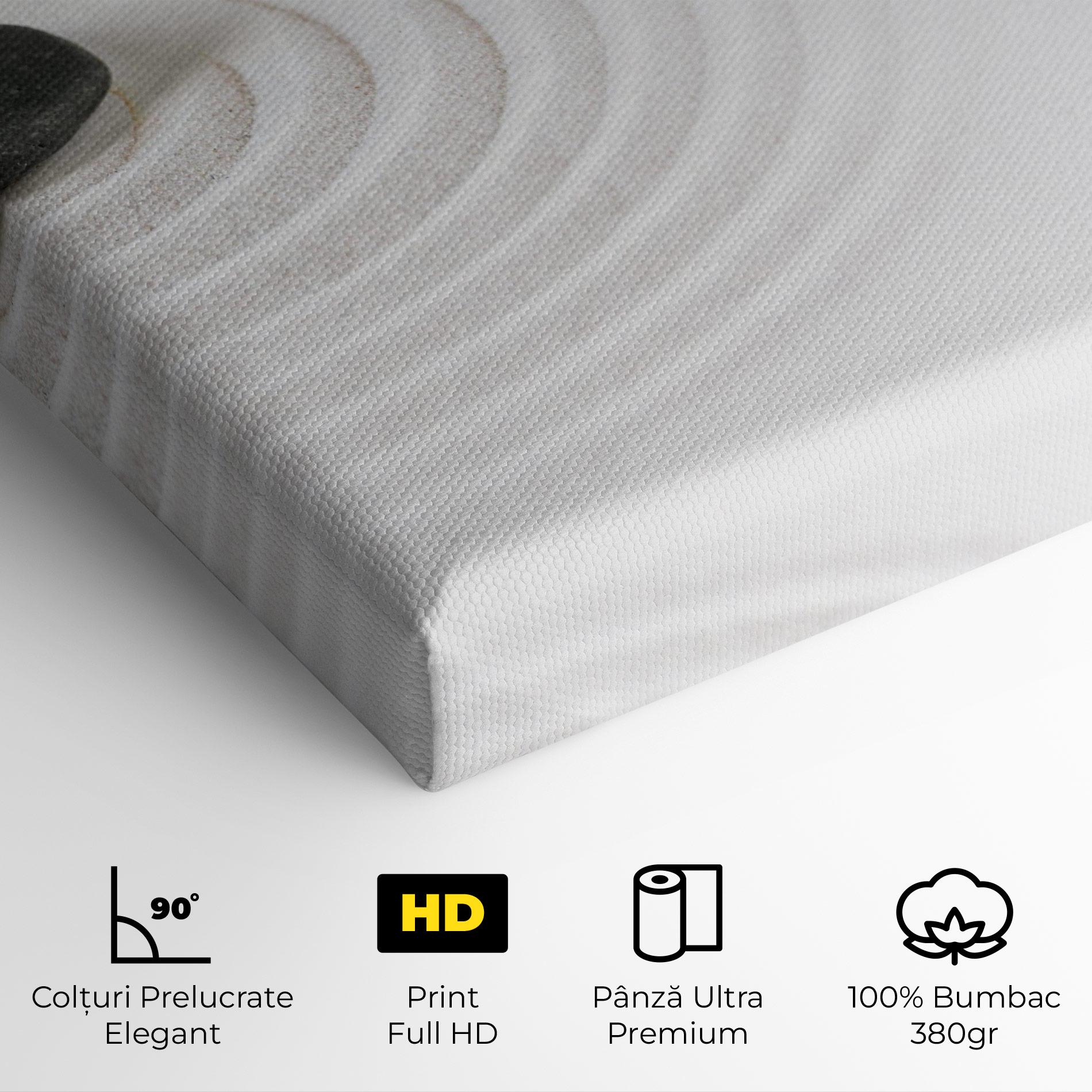 Tablou Canvas Black Stones Sand mockup 4