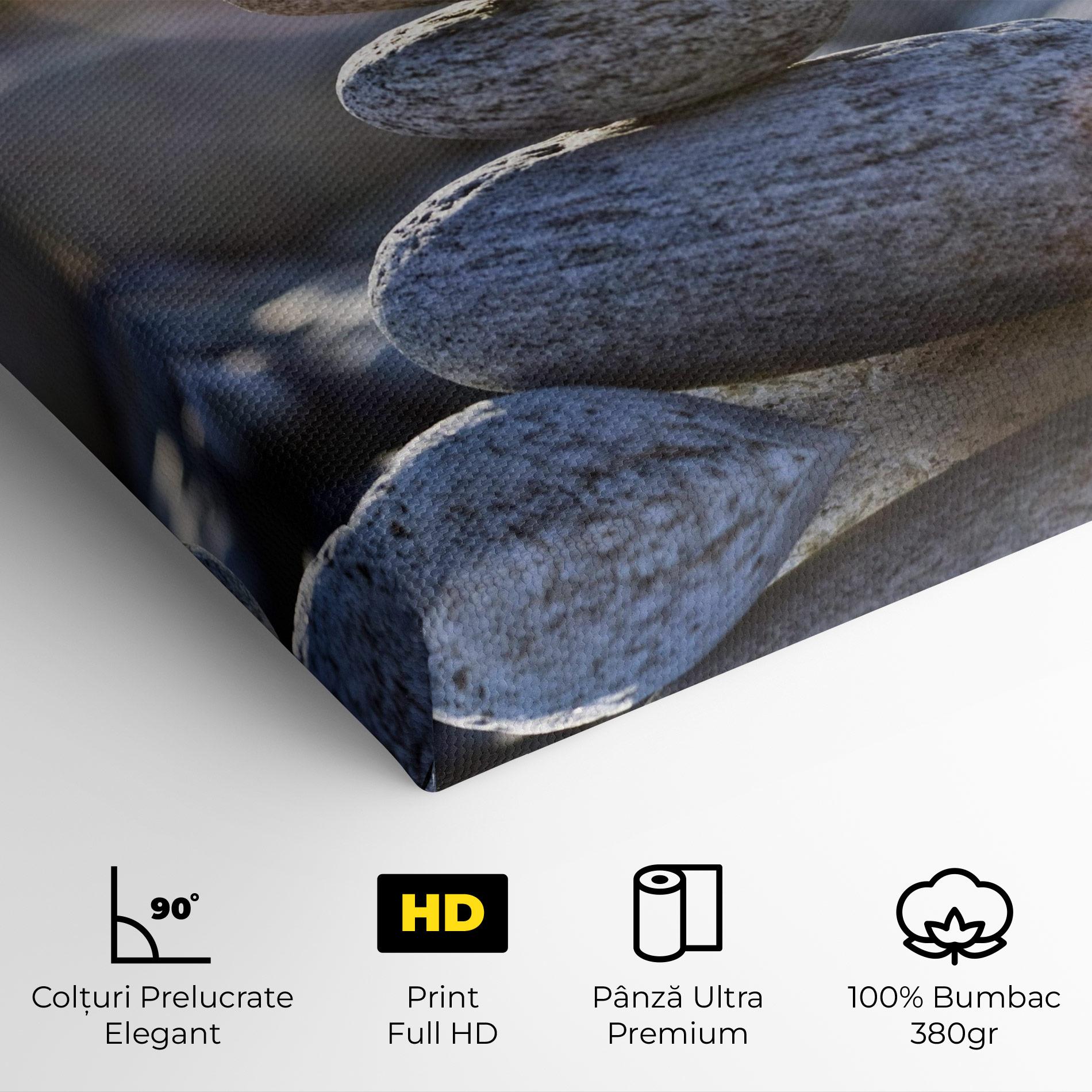 Tablou Canvas Closeup Shot Rocks mockup 4