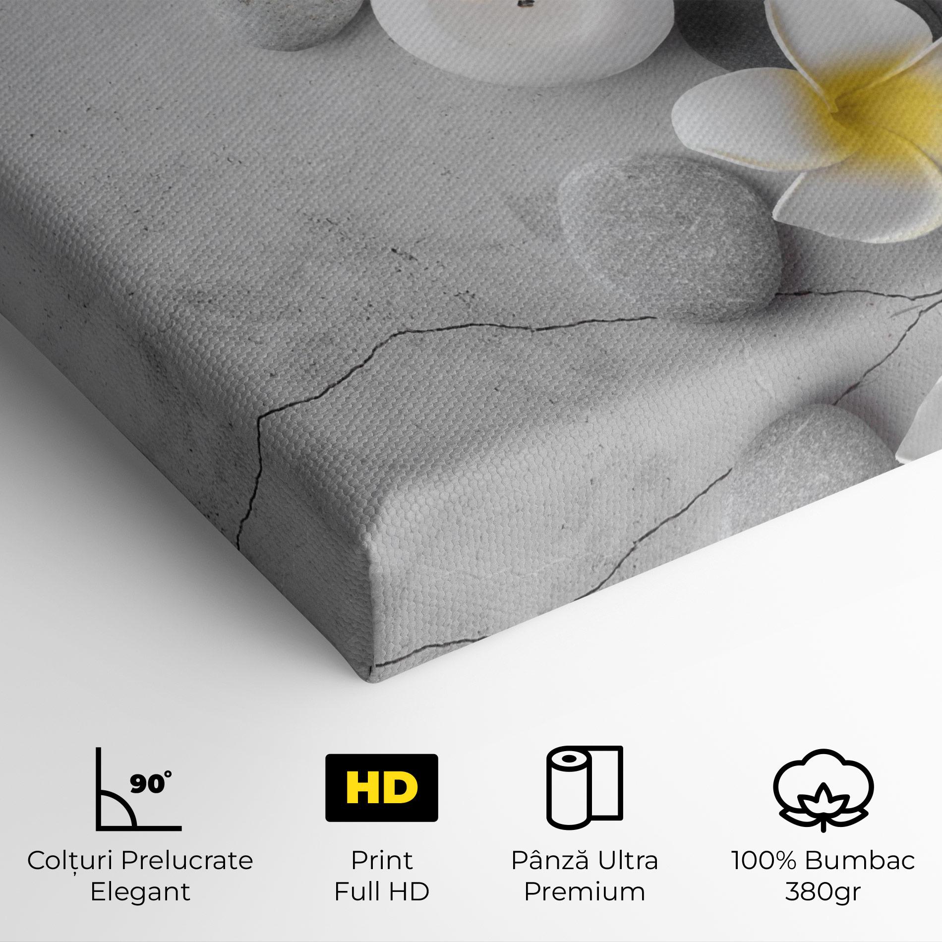 Tablou Canvas Feng Shui Stones mockup 4