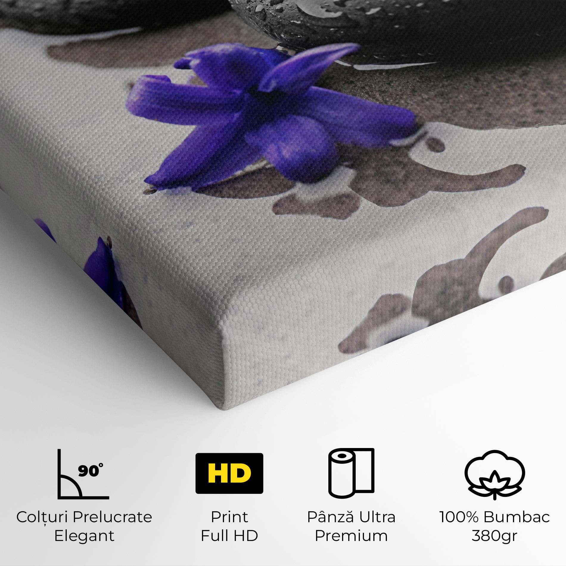 Tablou Canvas Spa Purple Rock mockup 4