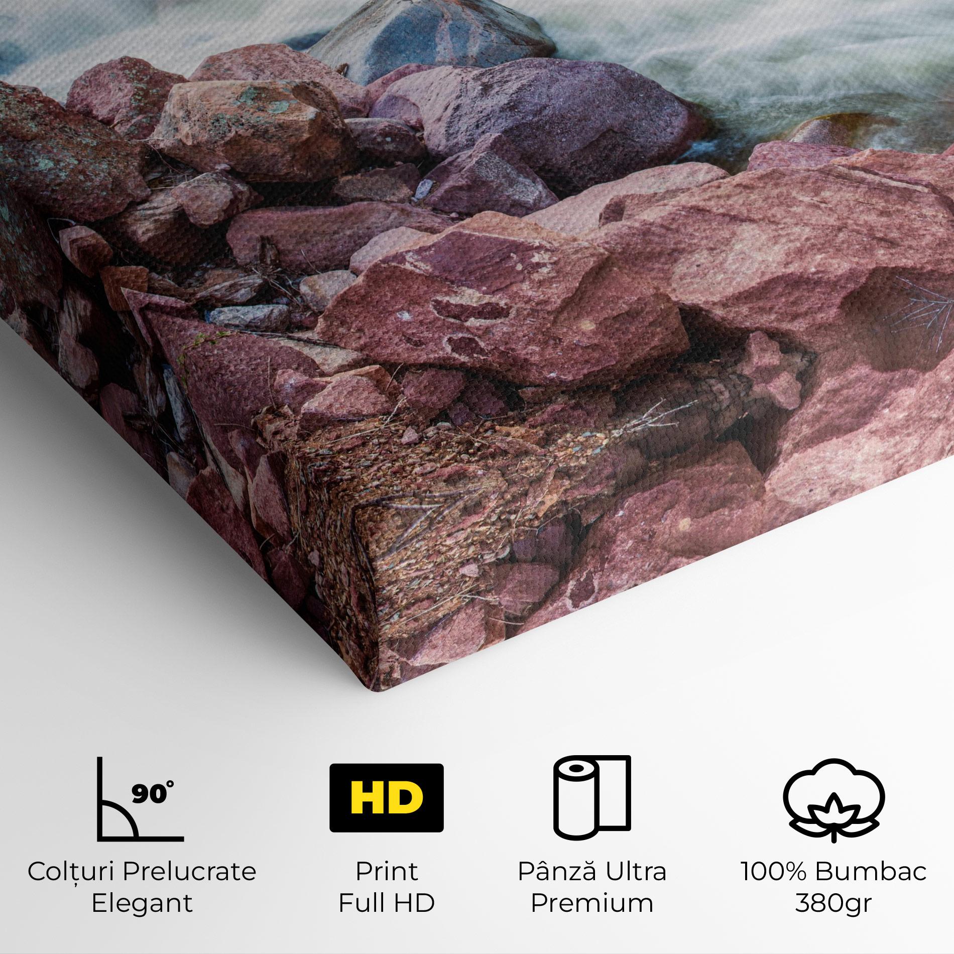 Tablou Canvas Spring Water Rocks mockup 4