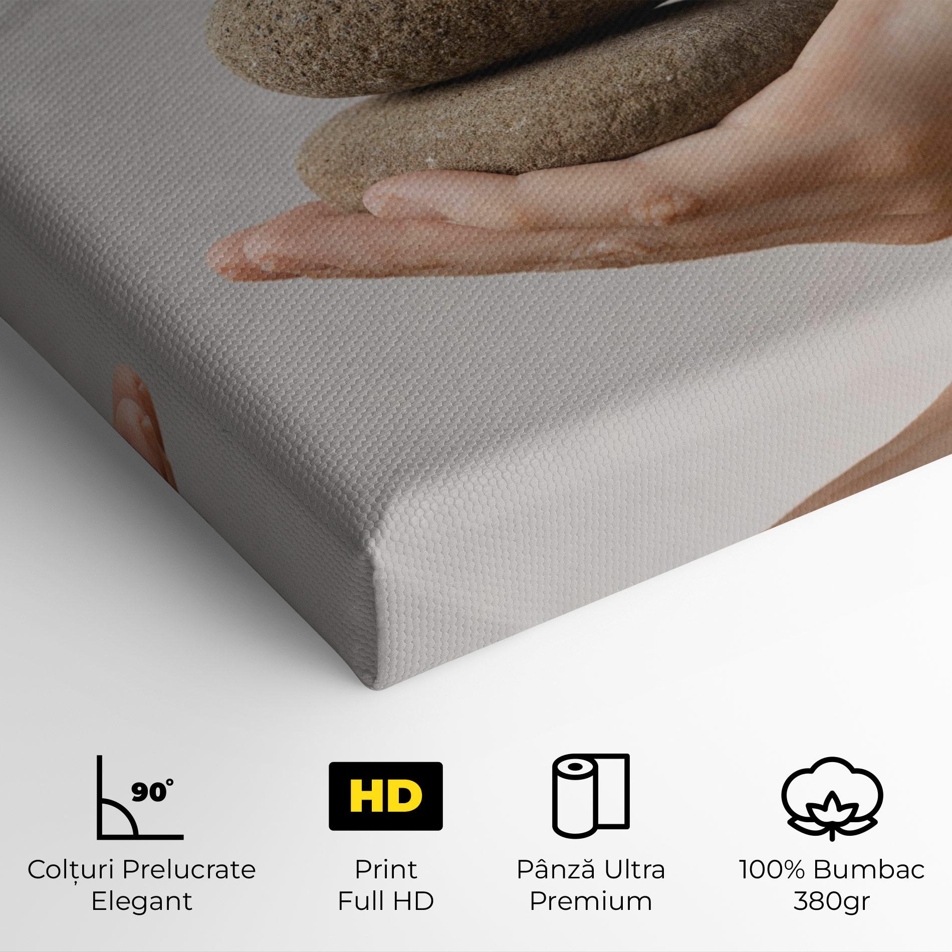 Tablou Canvas Stones Meditation mockup 4