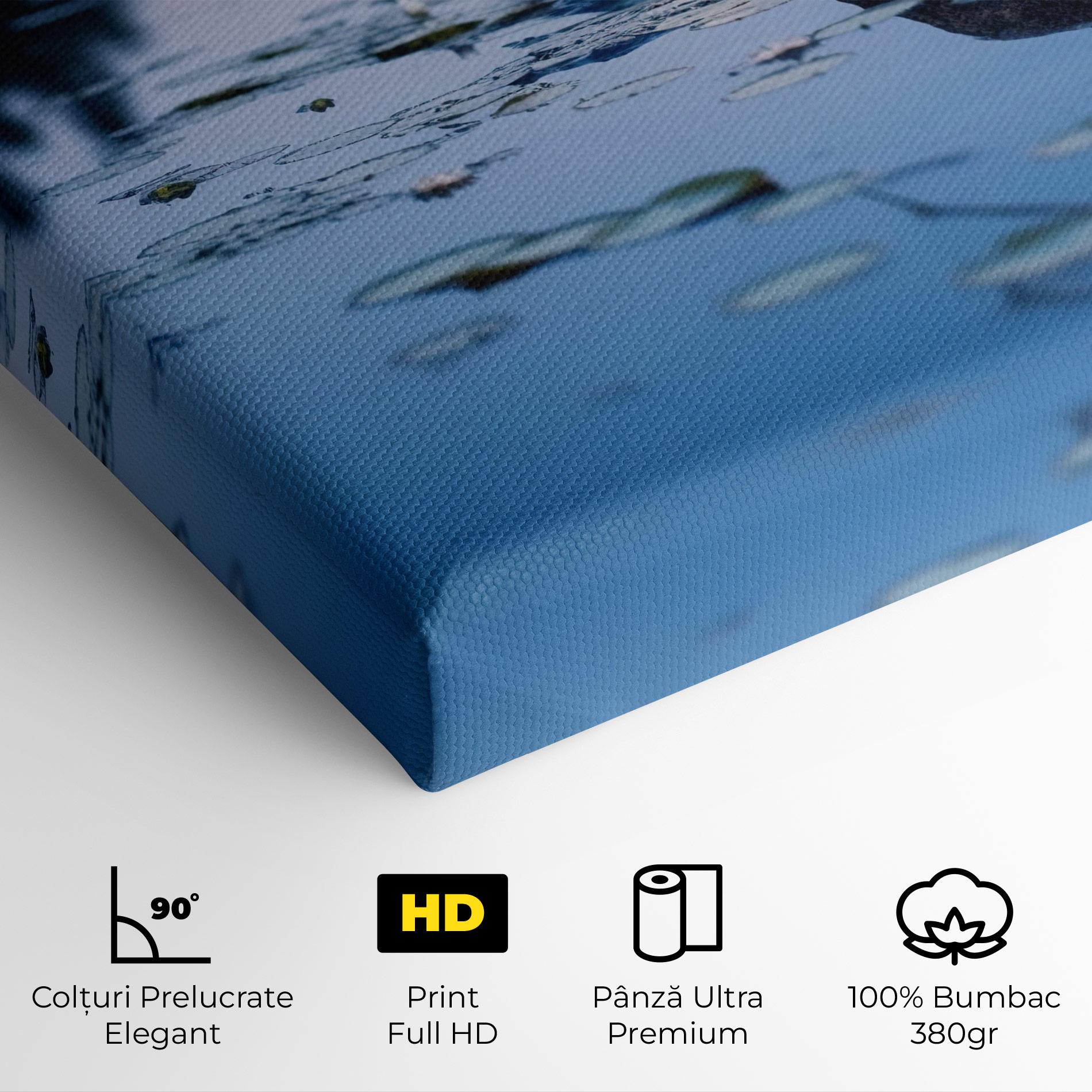 Tablou Canvas Water Stones mockup 4