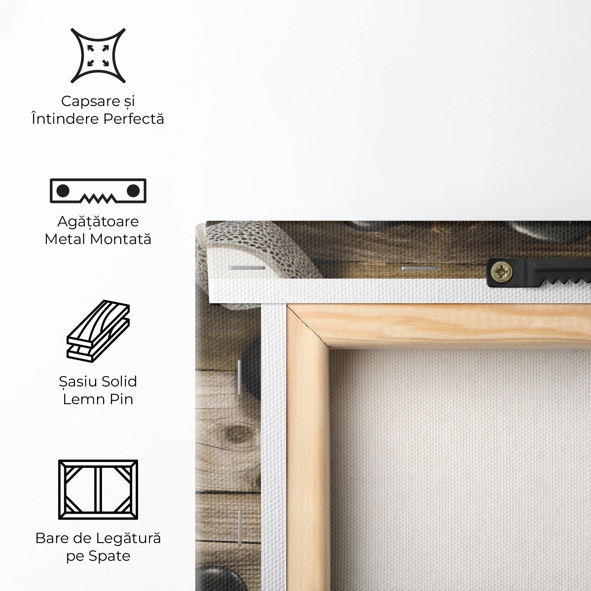 Tablou Canvas Cotton Flowers Stones mockup 5