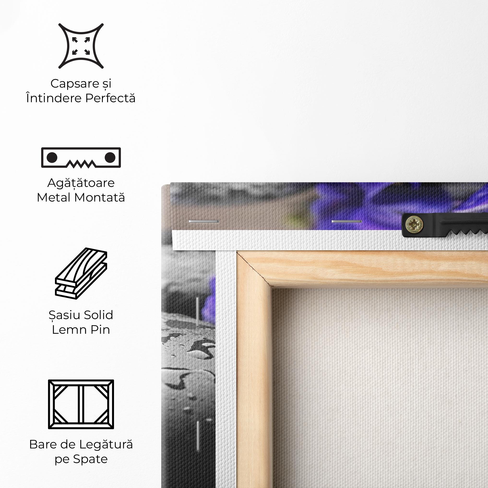 Tablou Canvas Spa Purple Rock mockup 5