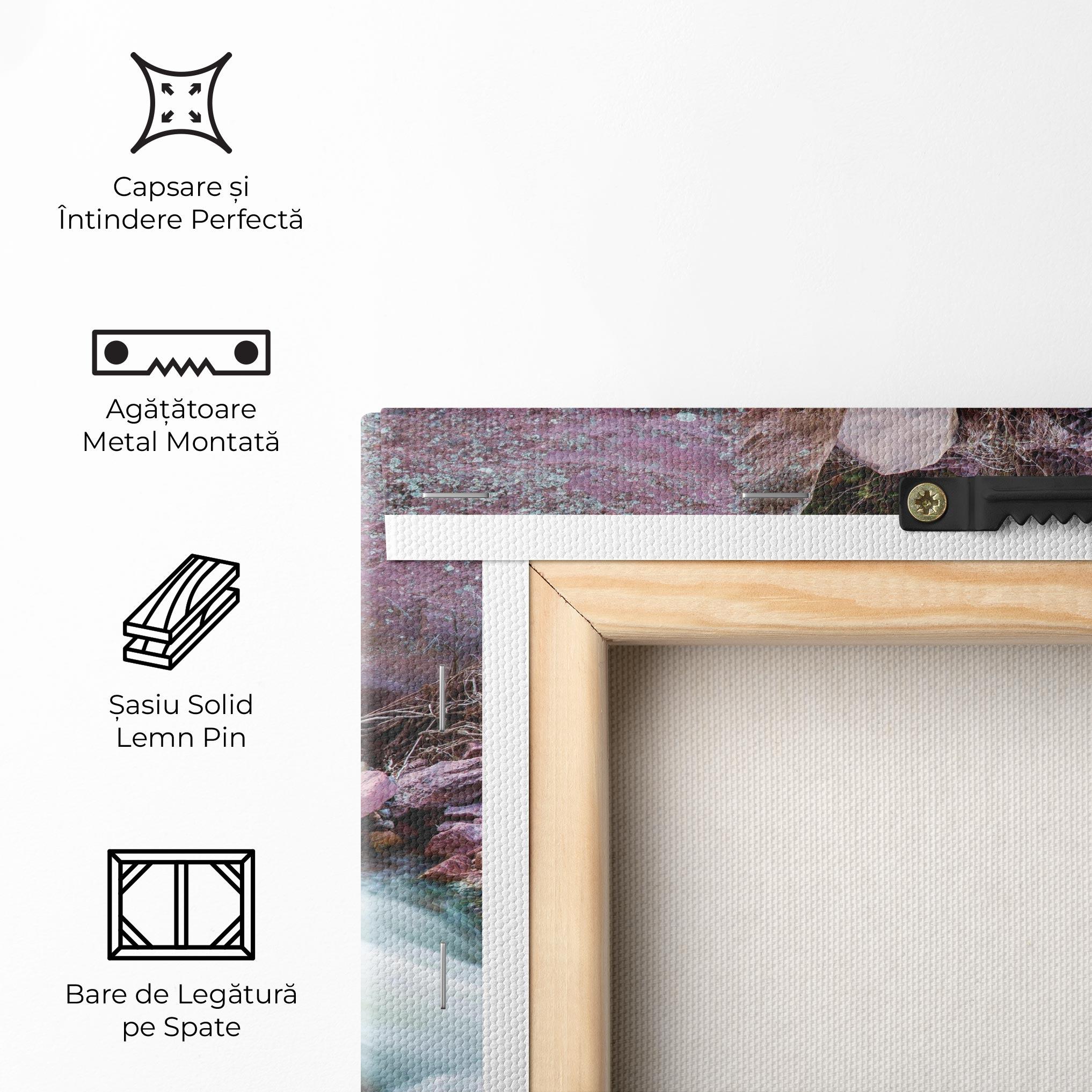 Tablou Canvas Spring Water Rocks mockup 5