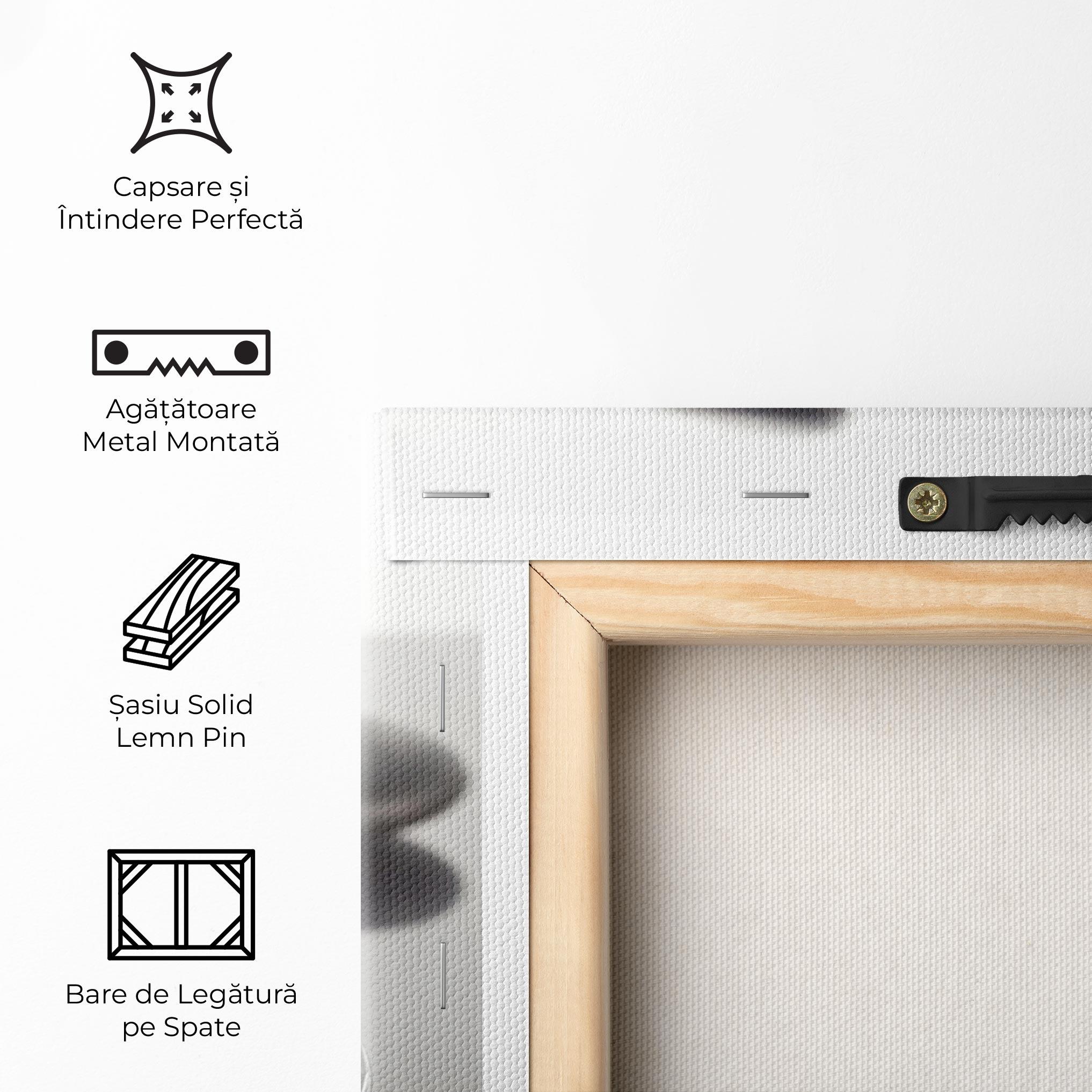 Tablou Canvas Stone Orange Flower mockup 5