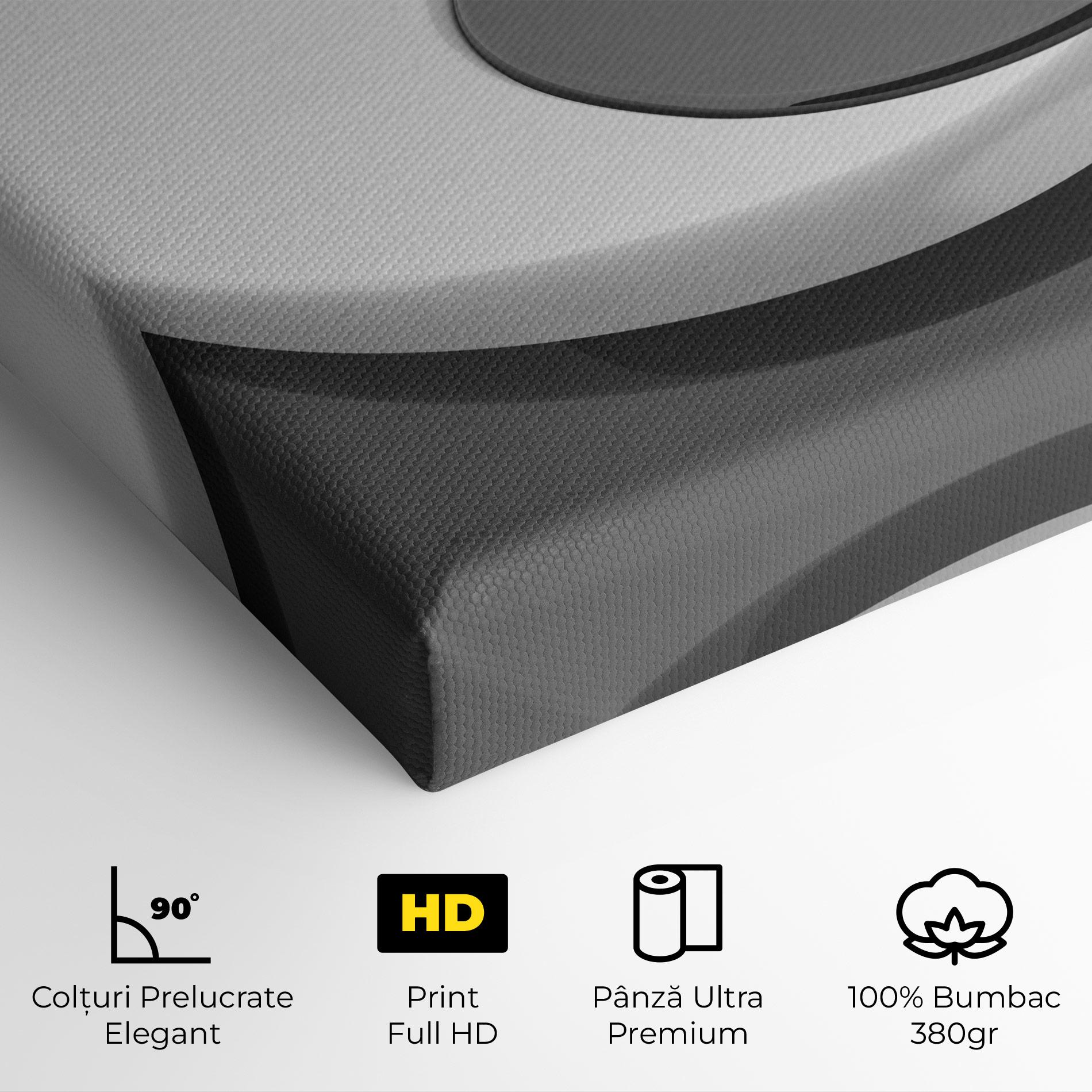 Tablou Canvas 3d Yinyang mockup 4