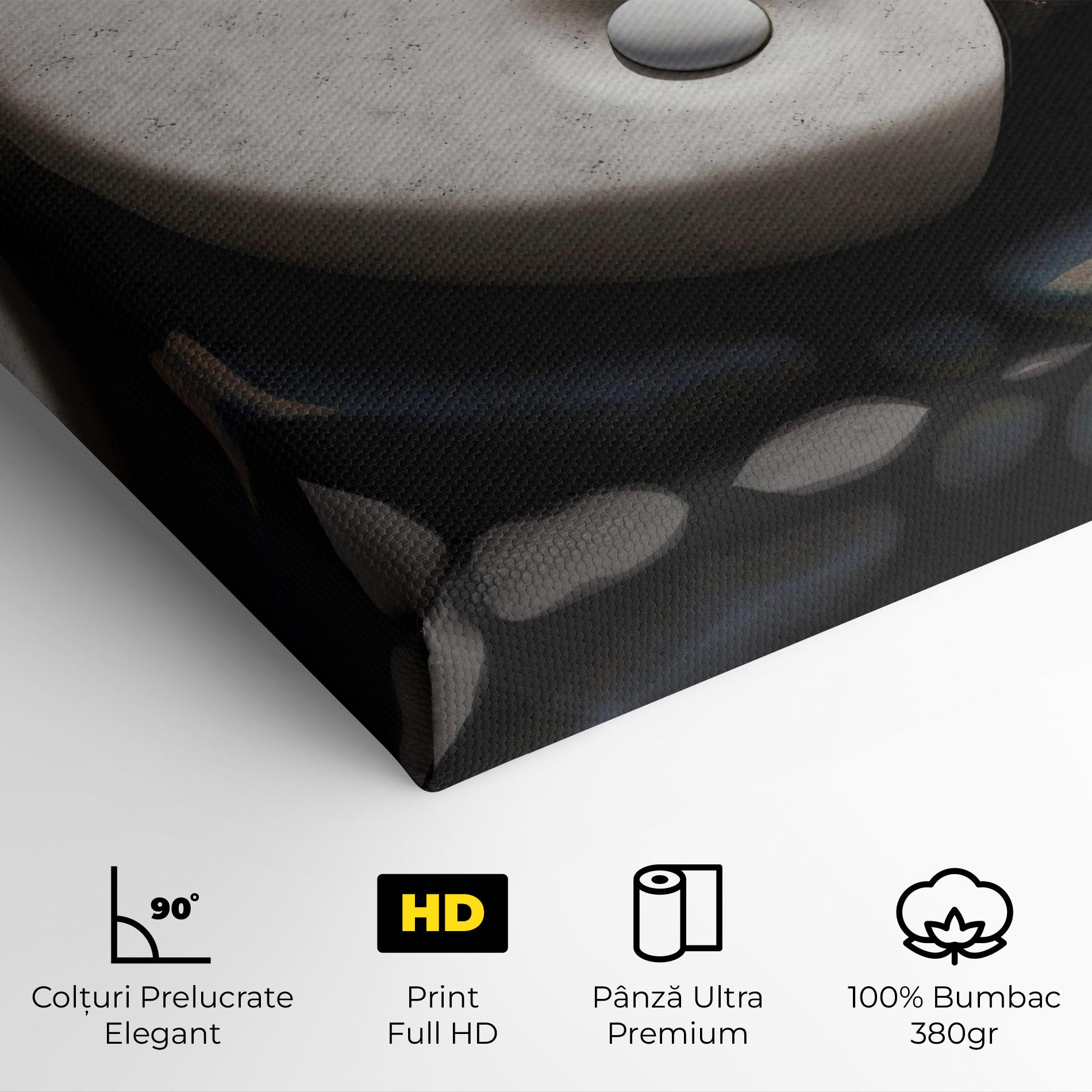 Tablou Canvas Stone Yinyang mockup 4