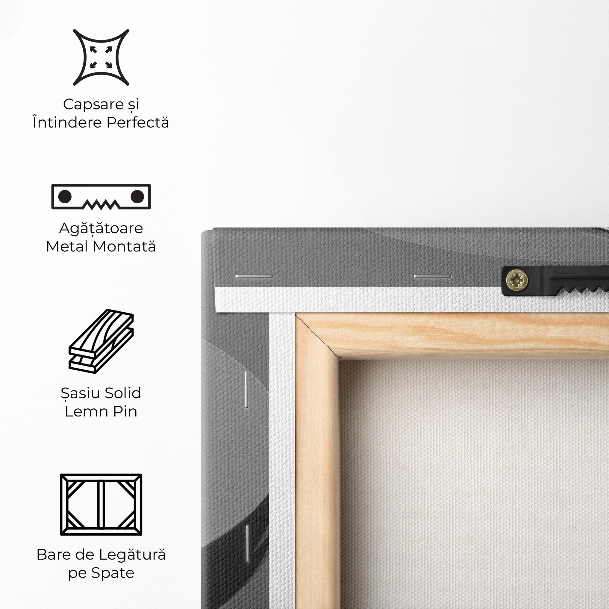 Tablou Canvas 3d Yinyang mockup 5