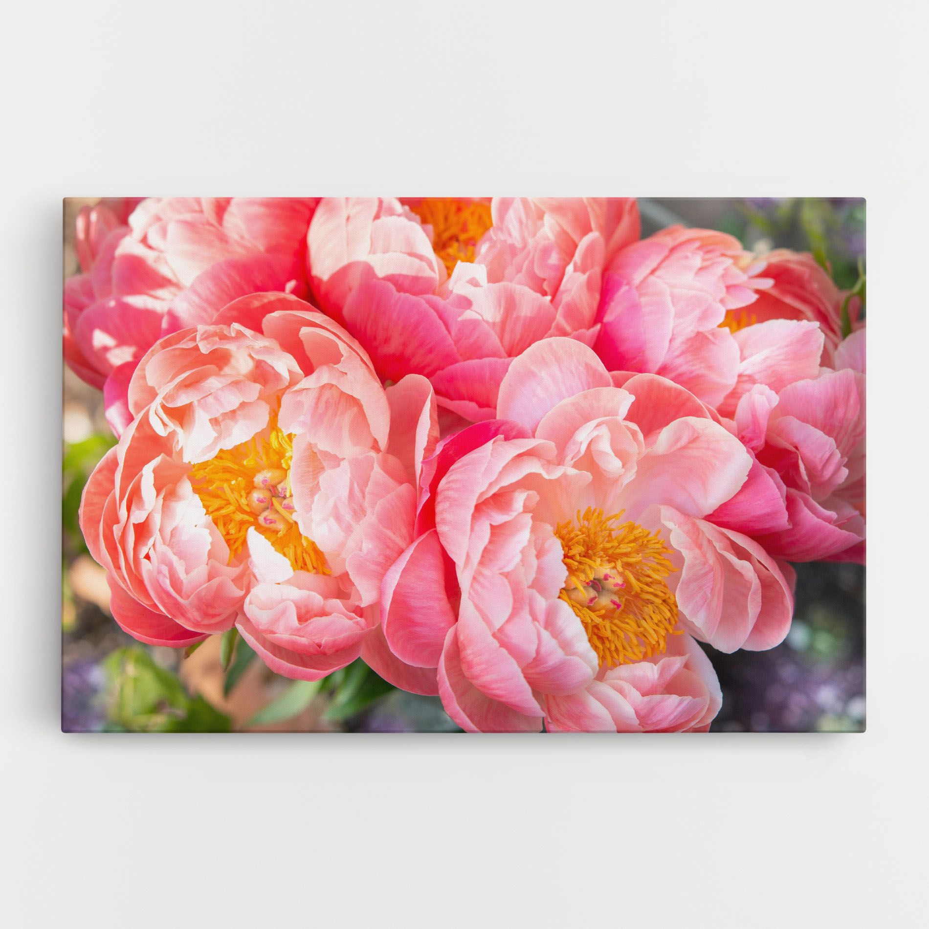 Opened Peonies Bouquet mockup 0
