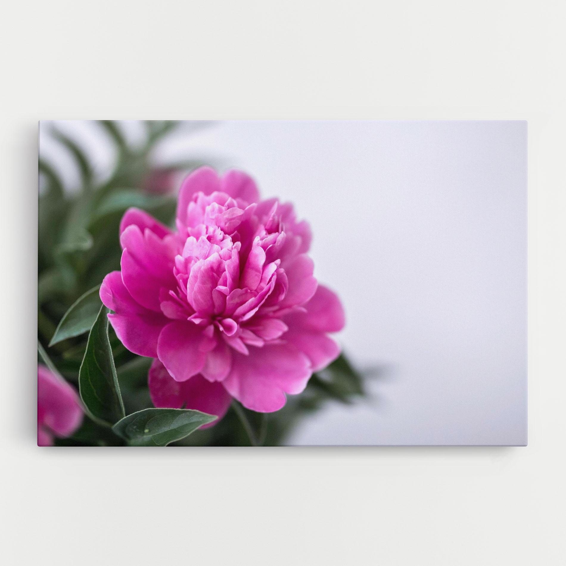Tablou Canvas Dark Pink Peony mockup 0