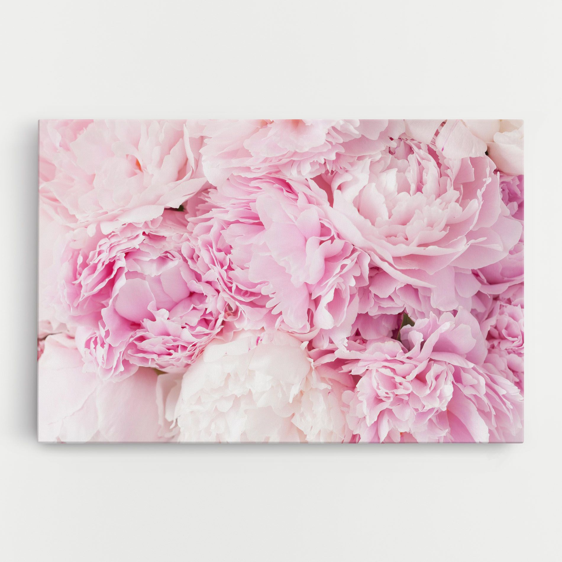 Dreamy Pink Pastel Peony mockup 0