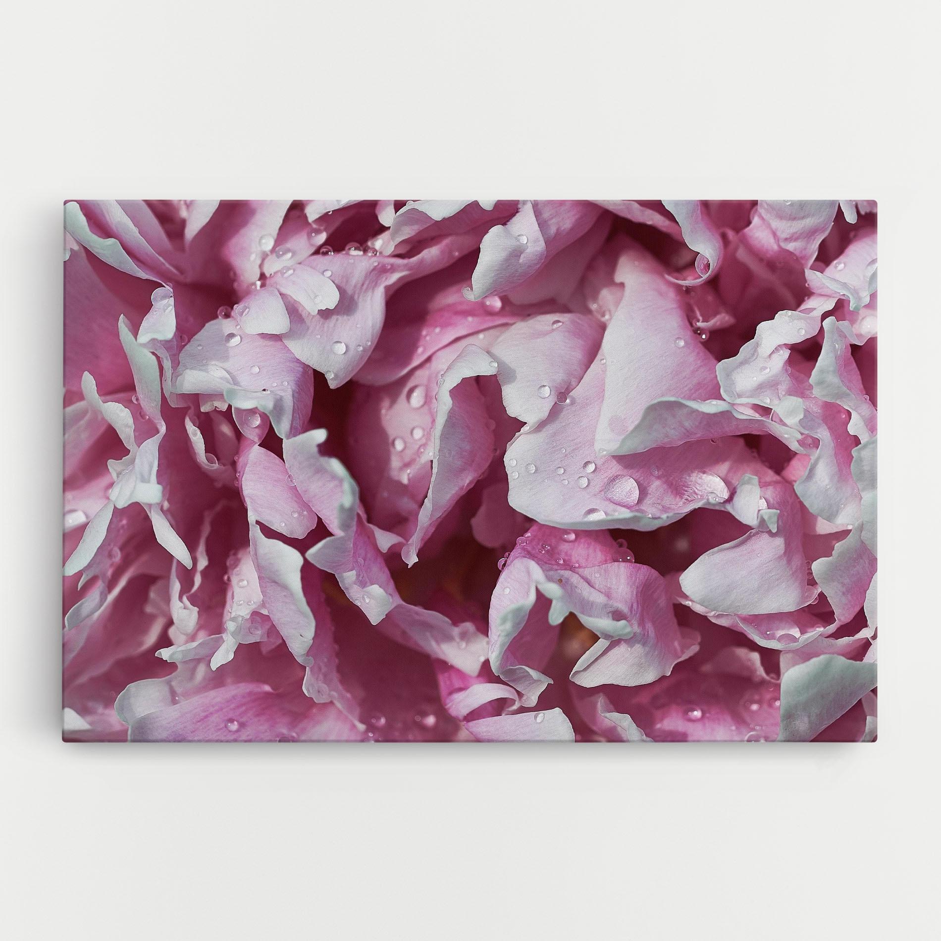Tablou Canvas Peony Petals mockup 0