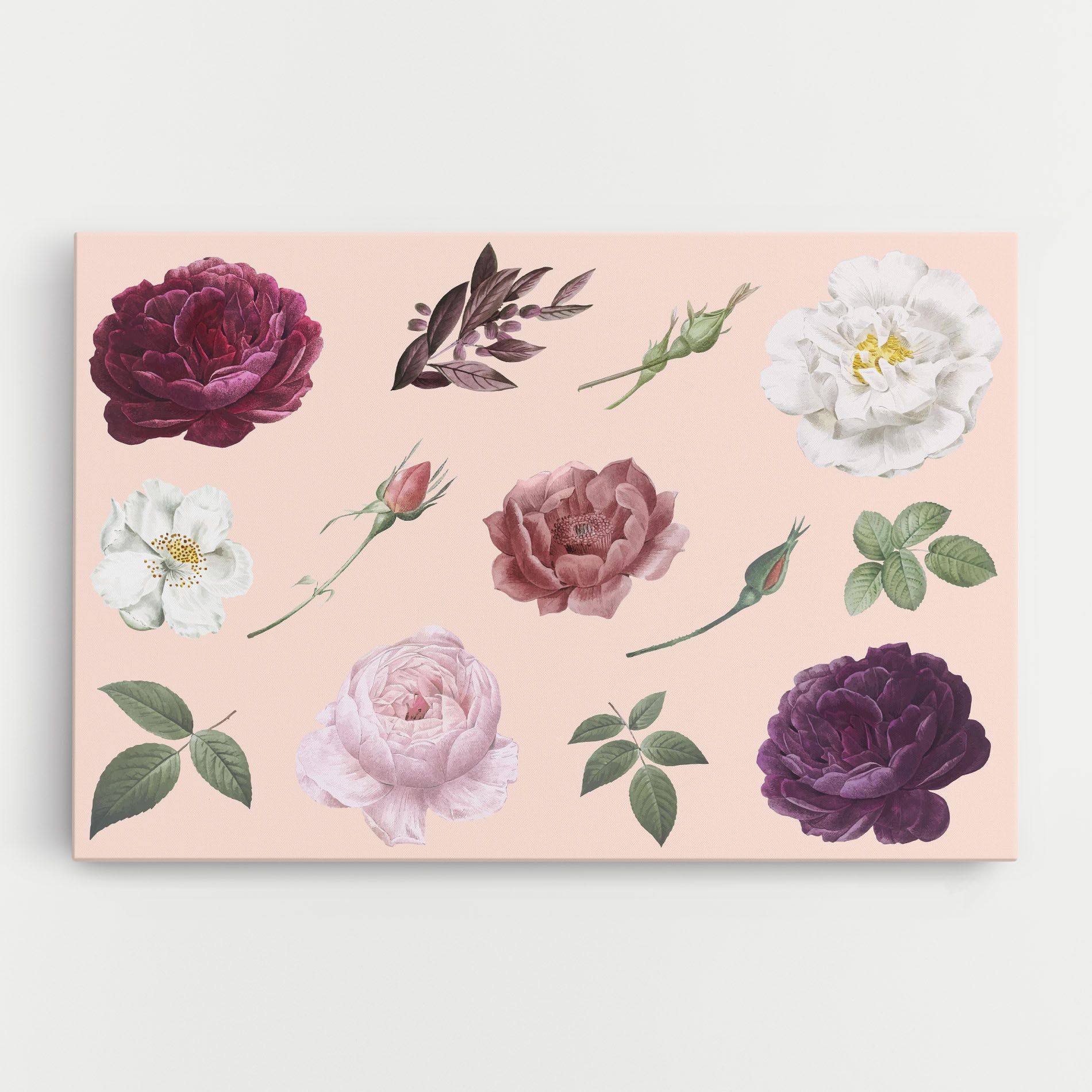 Rose And Peony mockup 0
