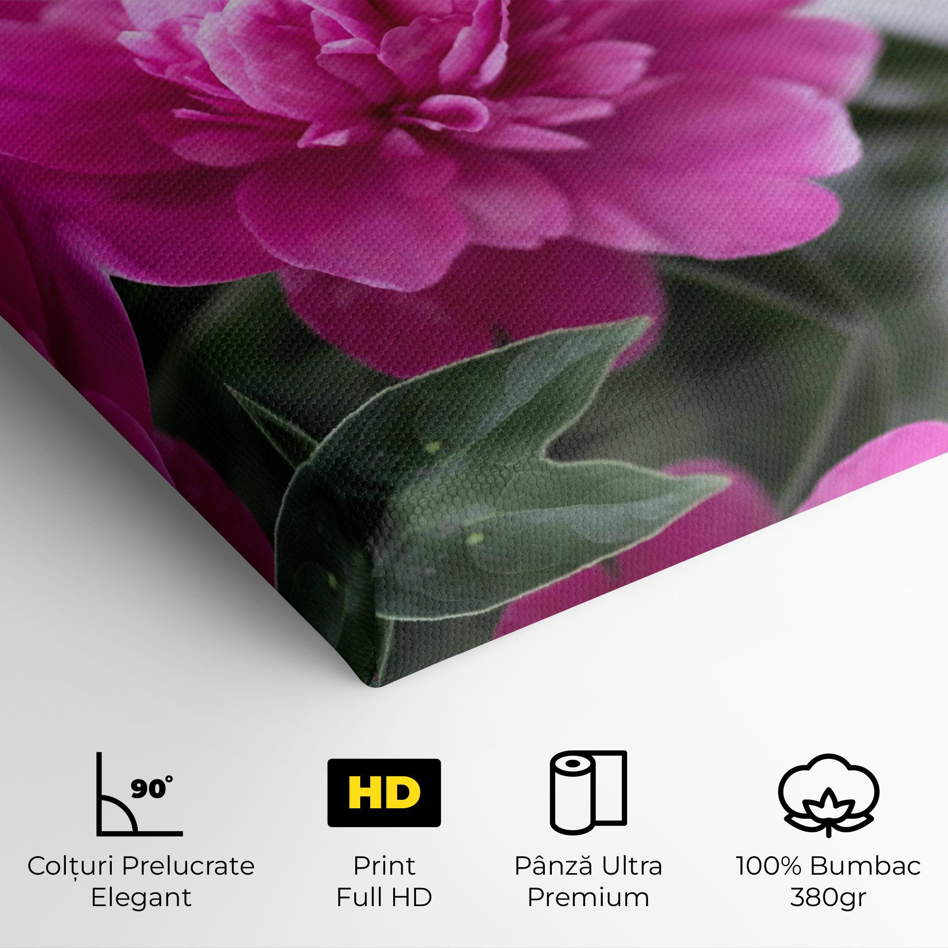 Dark Pink Peony mockup 4