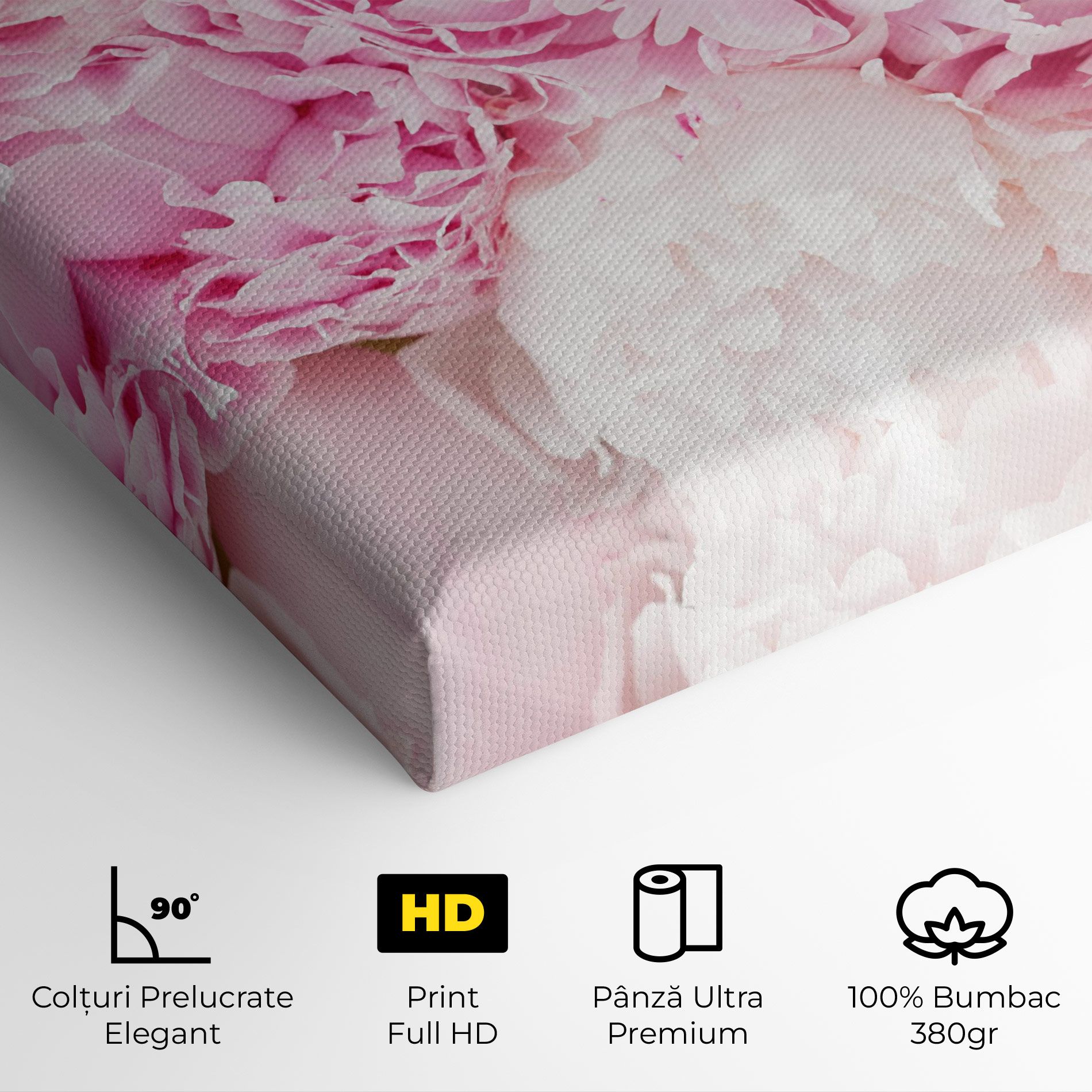 Dreamy Pink Pastel Peony mockup 4