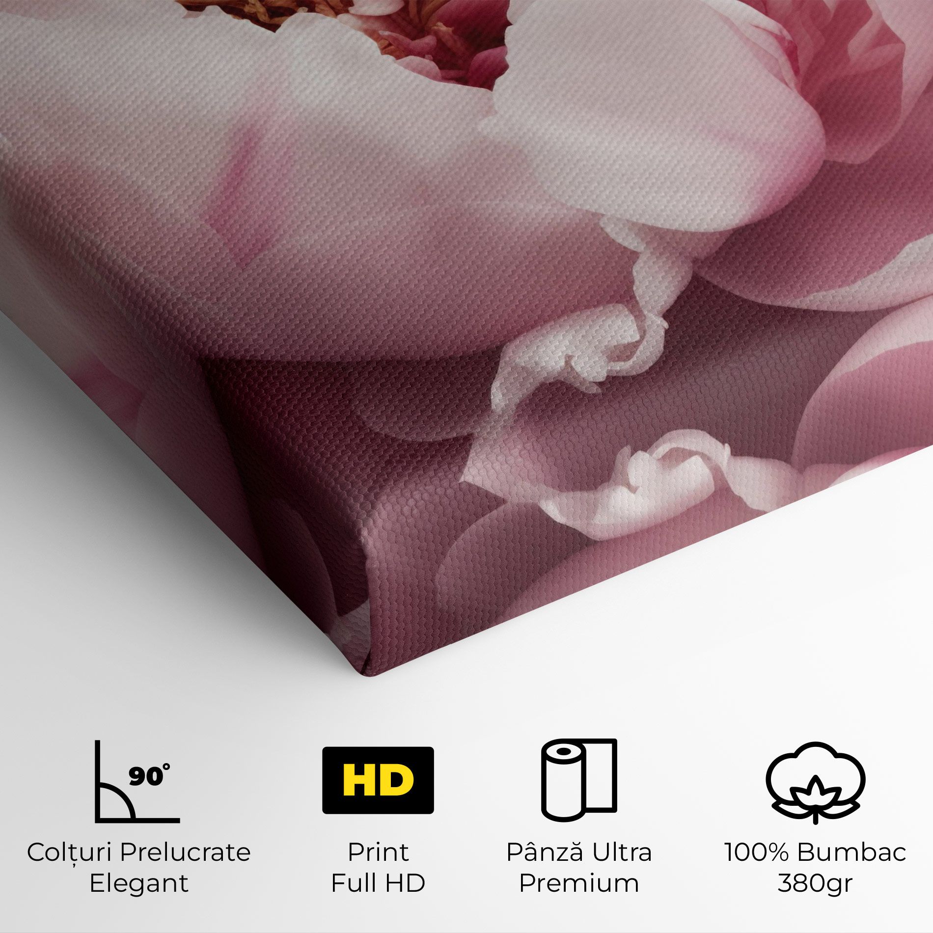 Pastel Peony Petals mockup 4