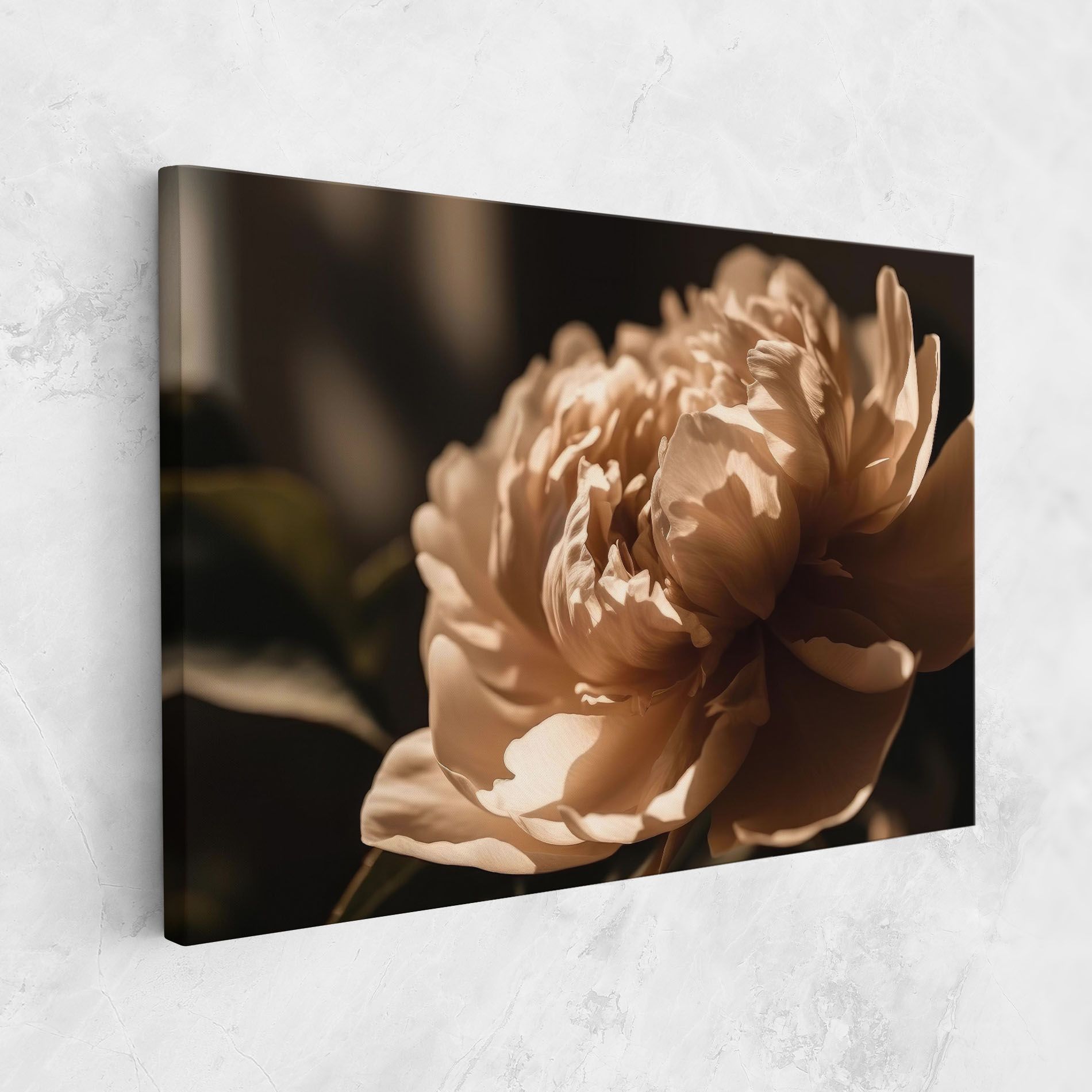 Cream Peony mockup 1