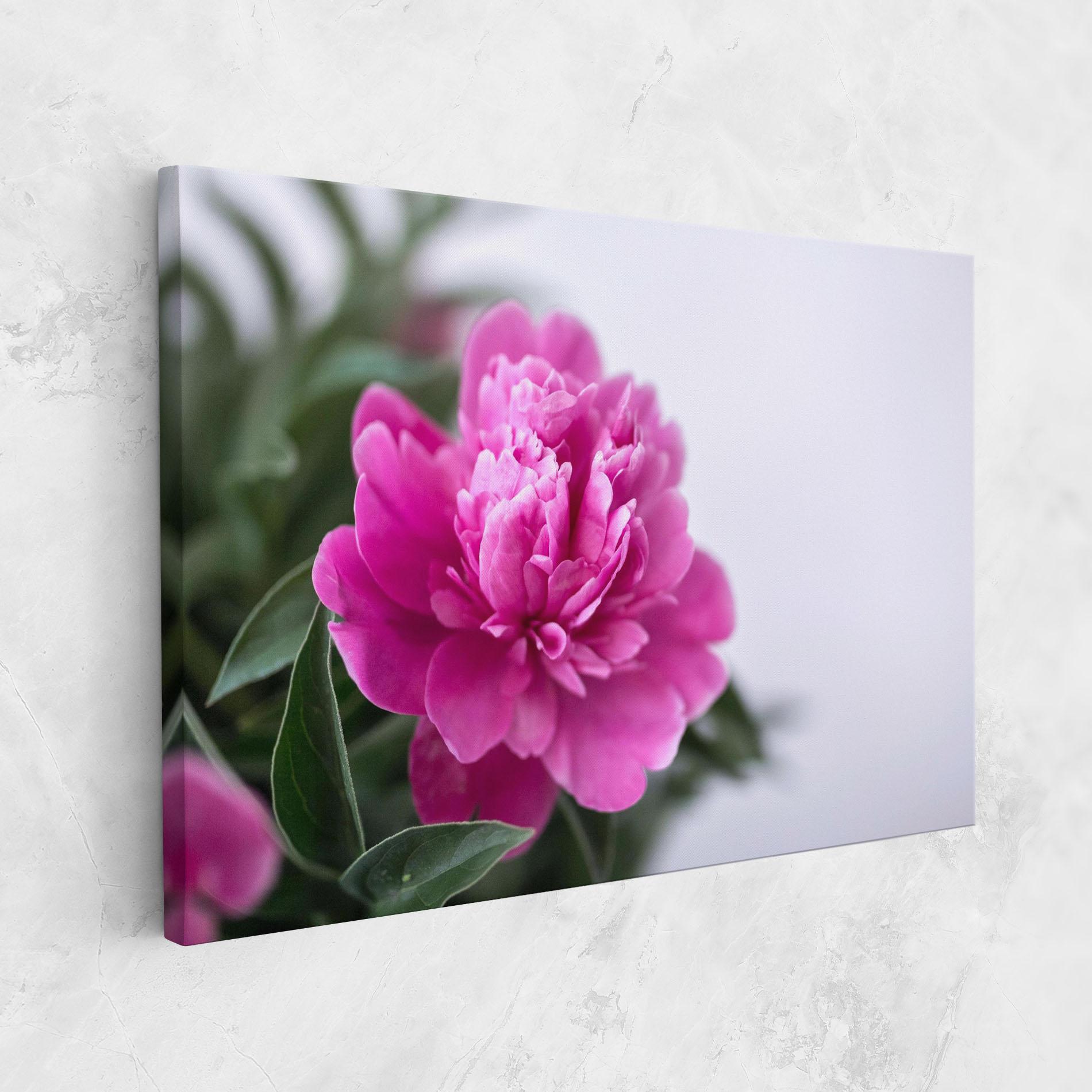 Tablou Canvas Dark Pink Peony mockup 1