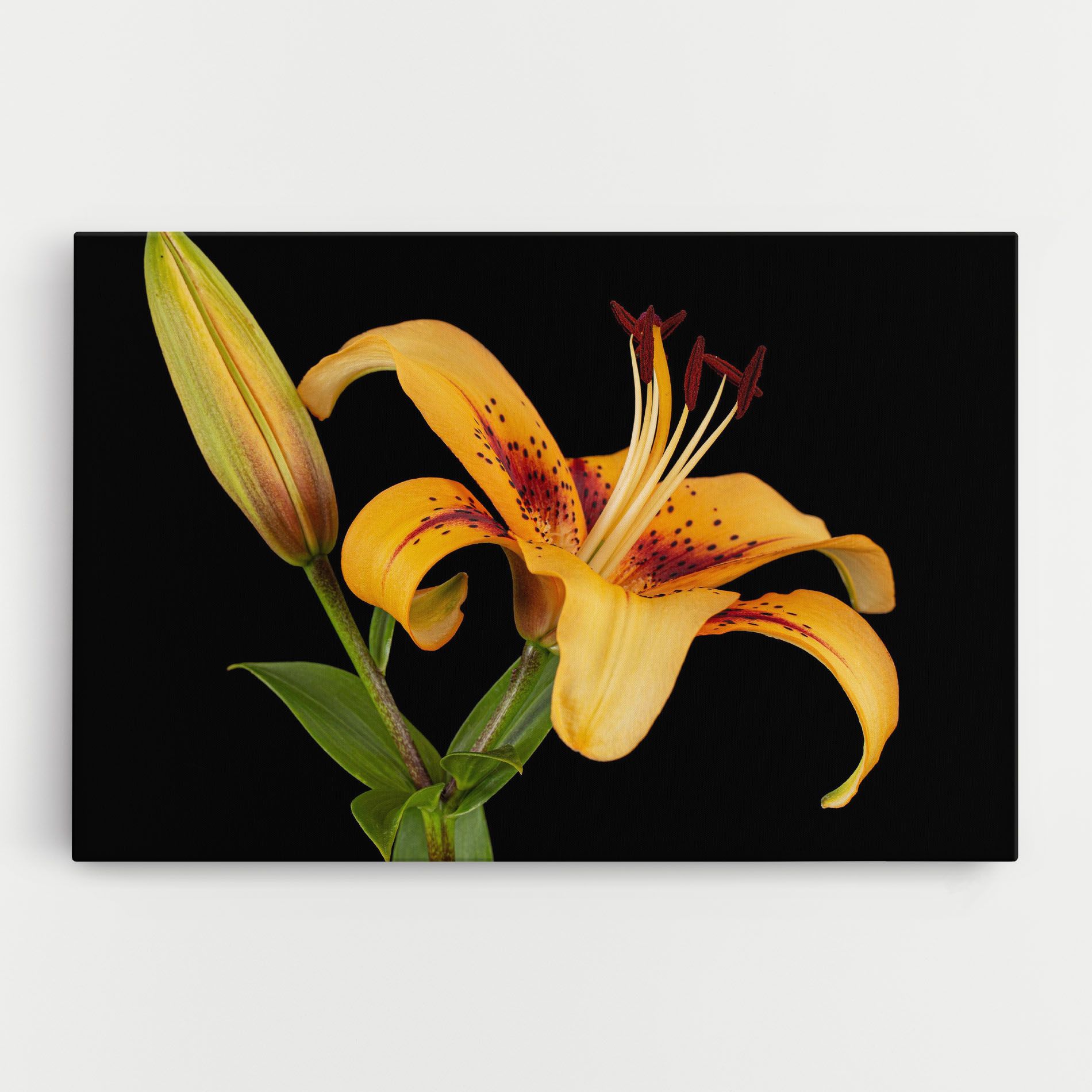 Beautiful Yellow Lily mockup 0