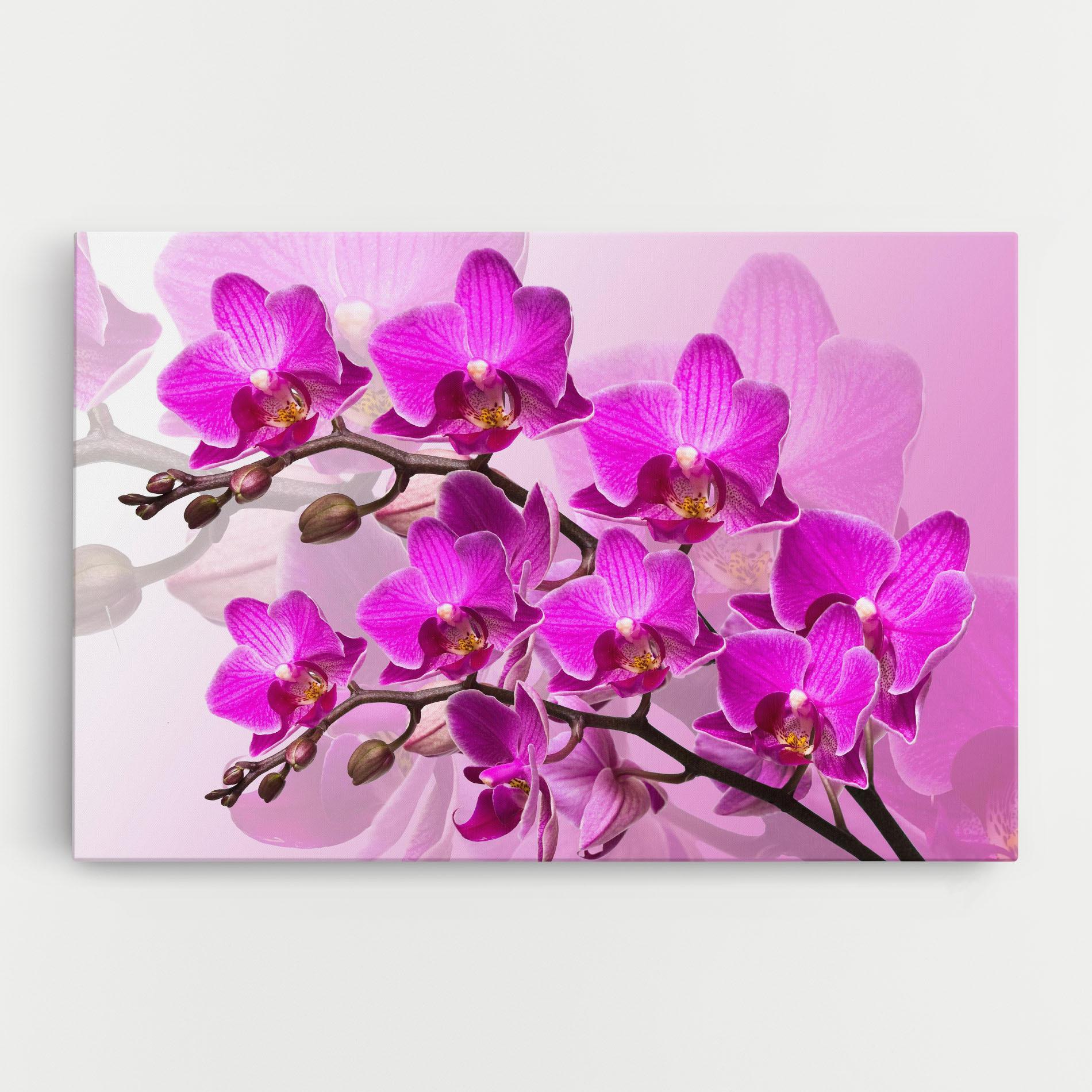 Tablou Canvas Flori Roz mockup 0