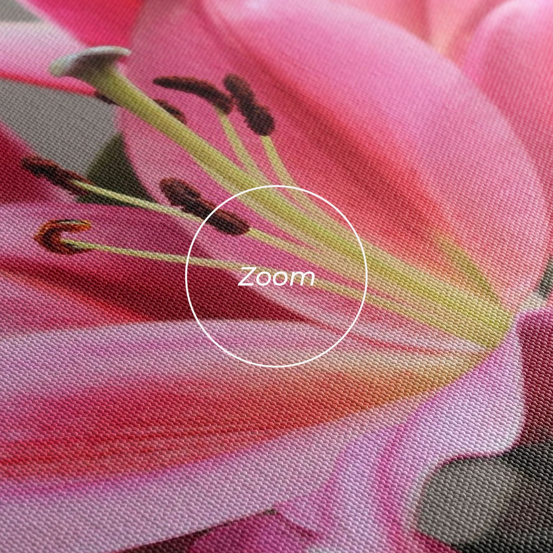 Light Pink Lily View mockup 3