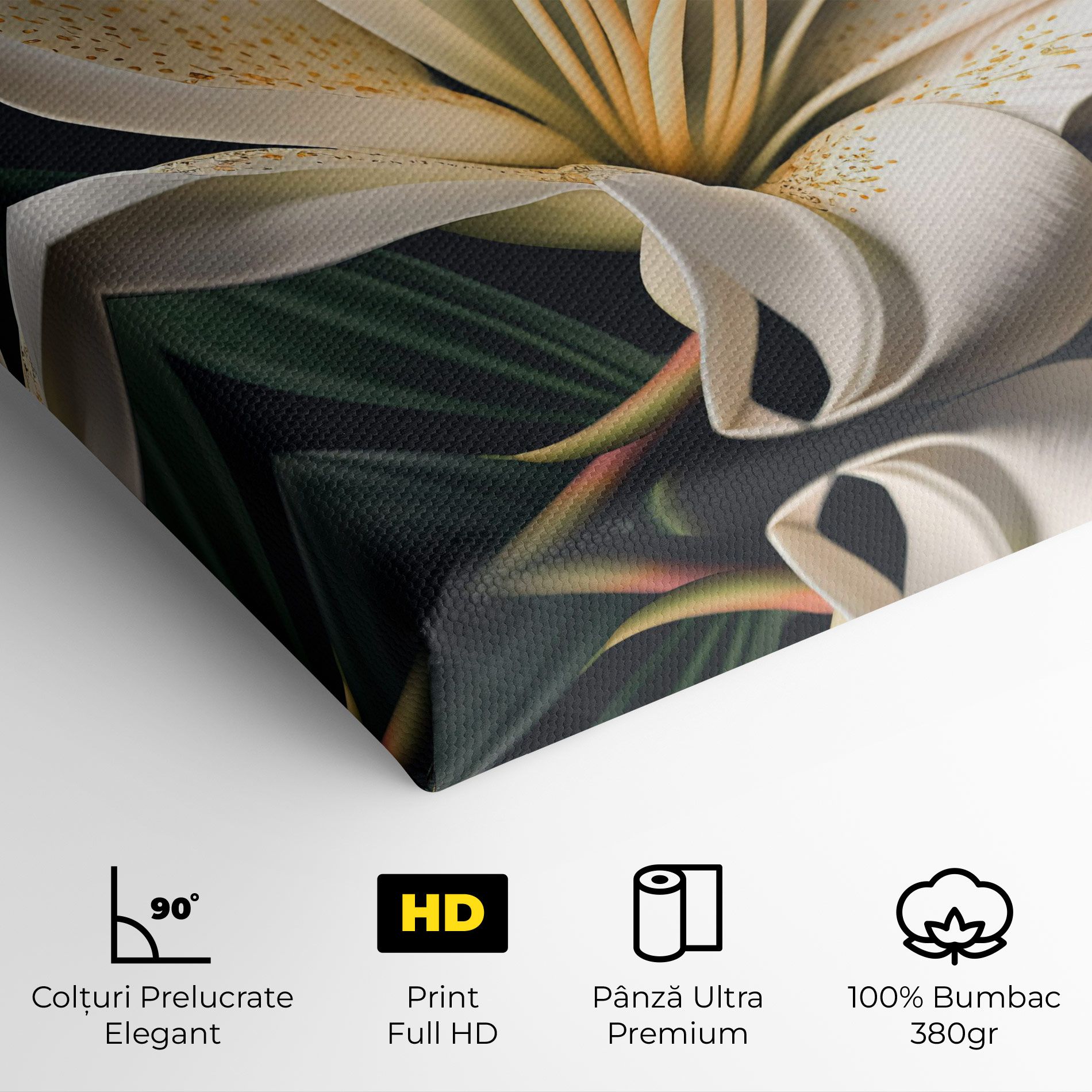 Big Lily View mockup 4