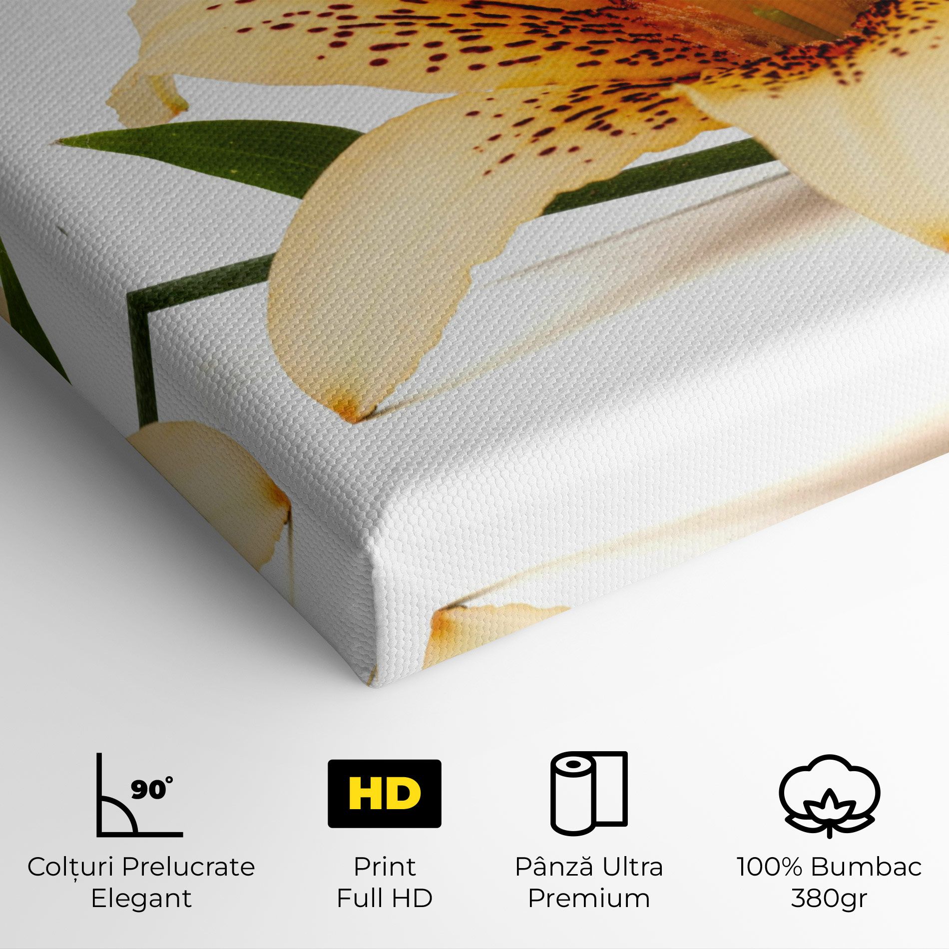 Big Yellow Lily mockup 4
