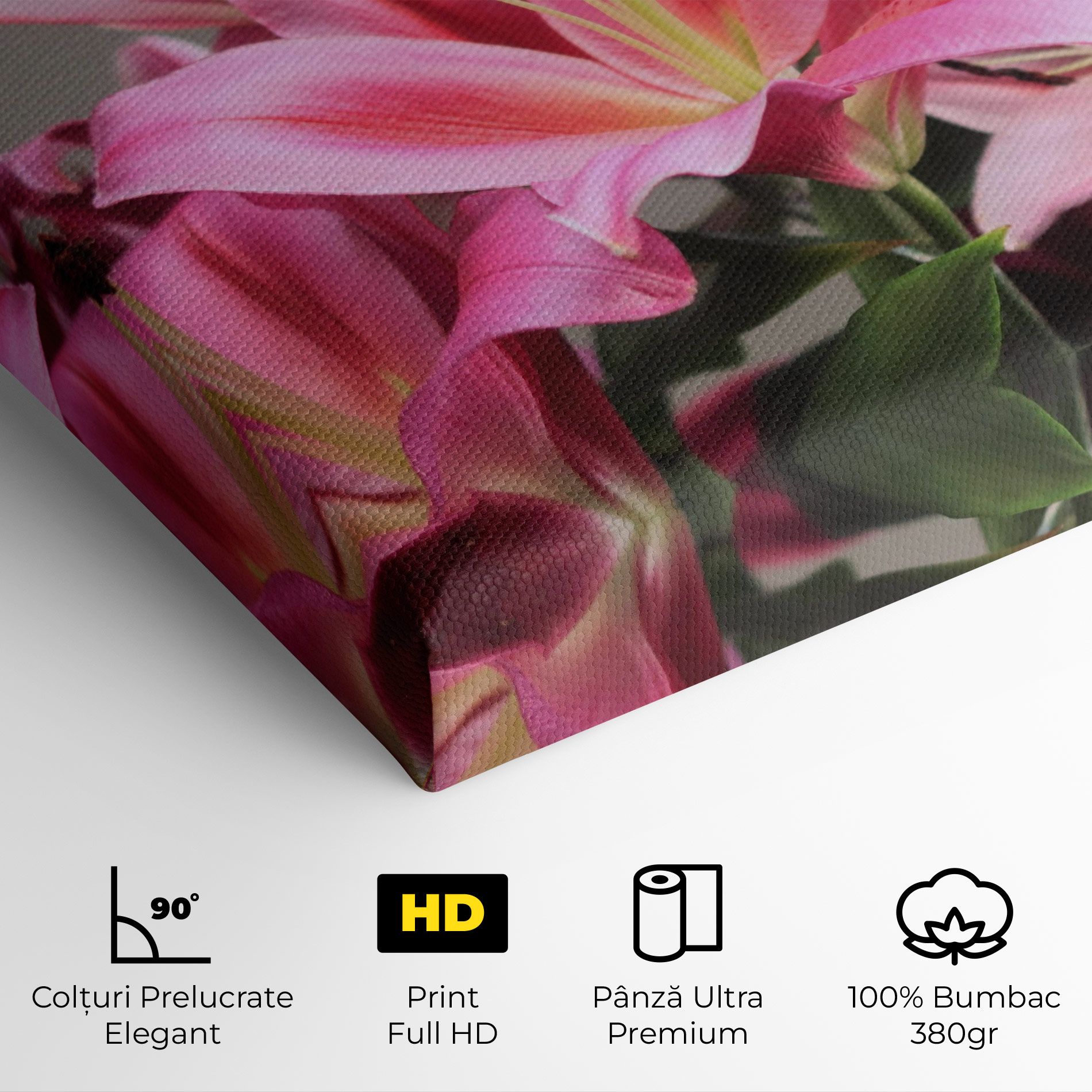Light Pink Lily View mockup 4