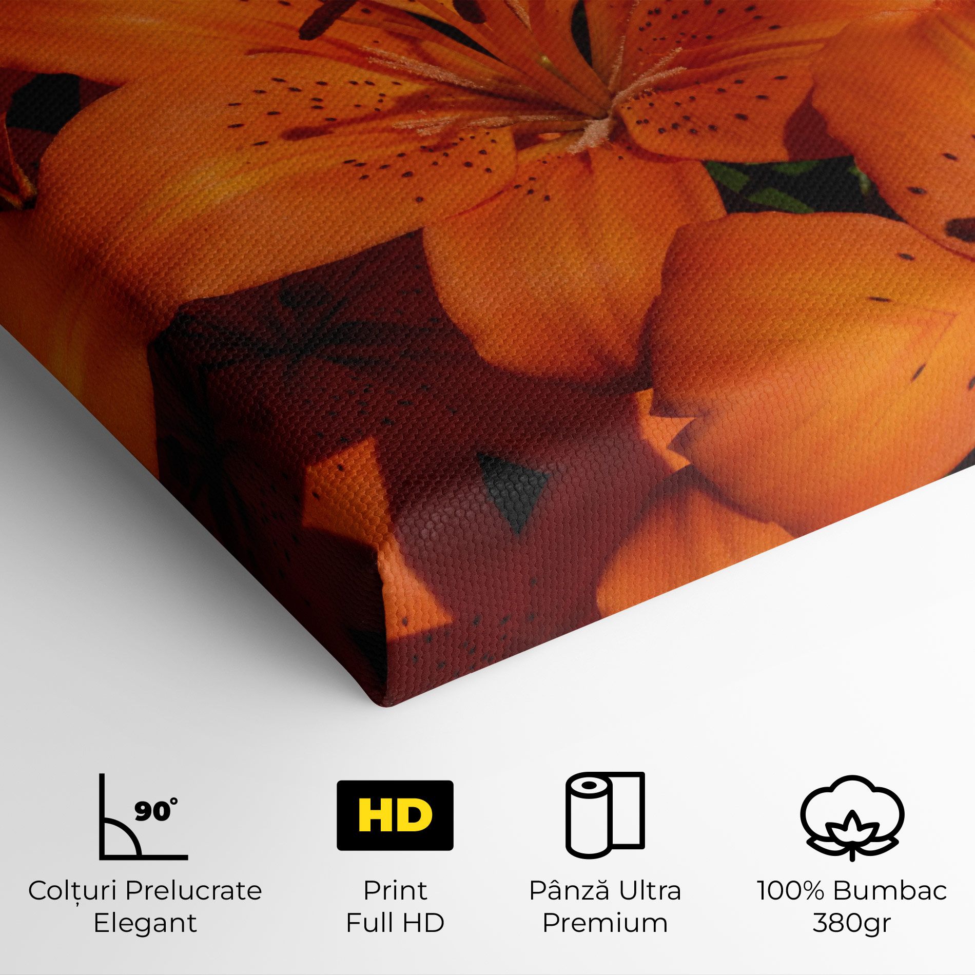 Orange Lily In The Sun mockup 4