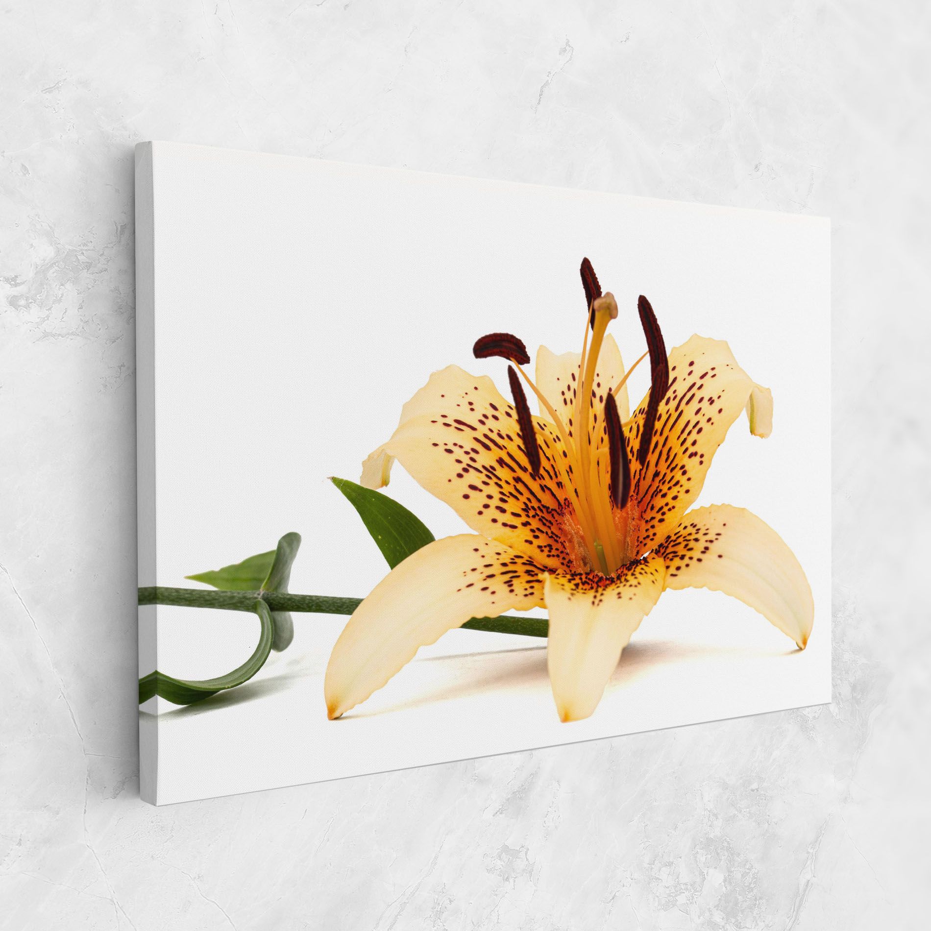 Big Yellow Lily mockup 1