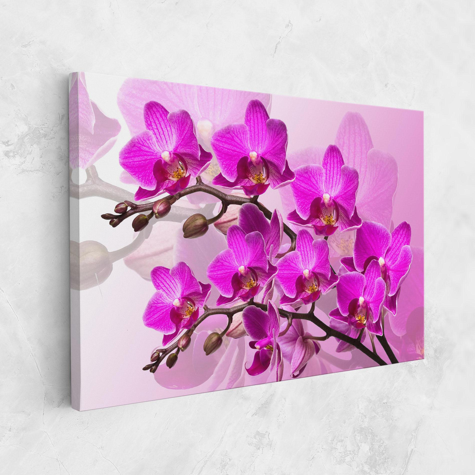 Tablou Canvas Flori Roz mockup 1