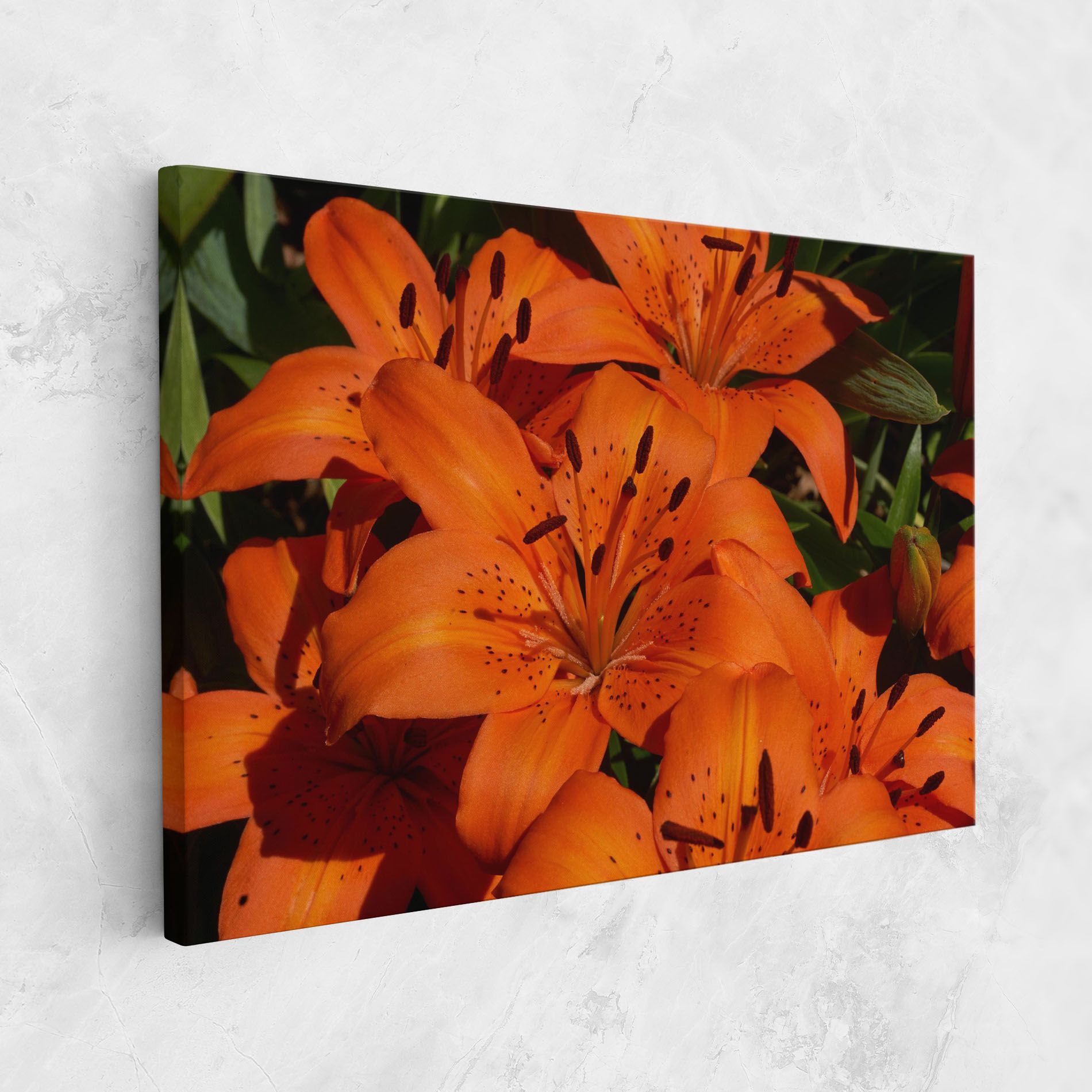 Orange Lily In The Sun mockup 1