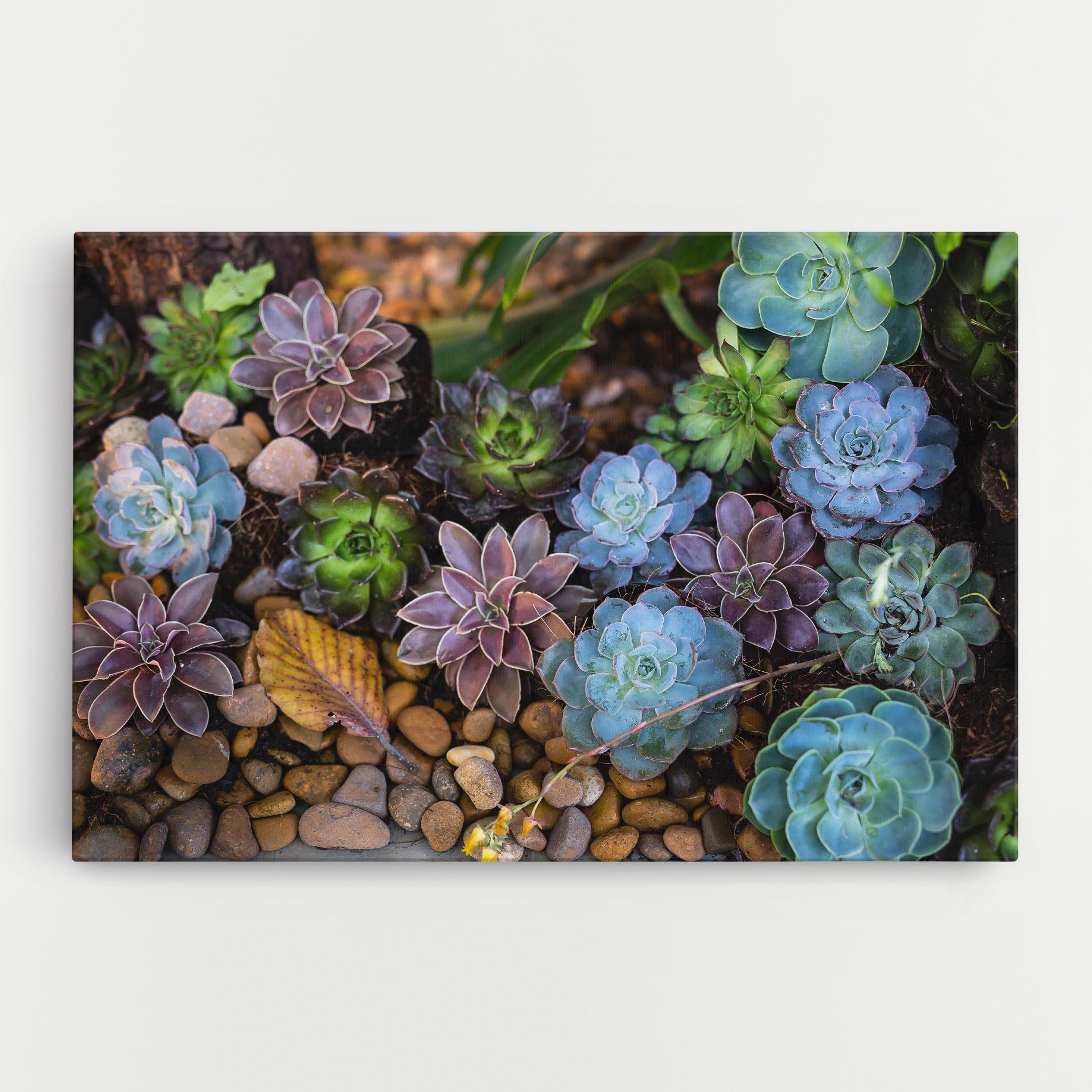 Tablou Canvas Colorful Flowers mockup 0