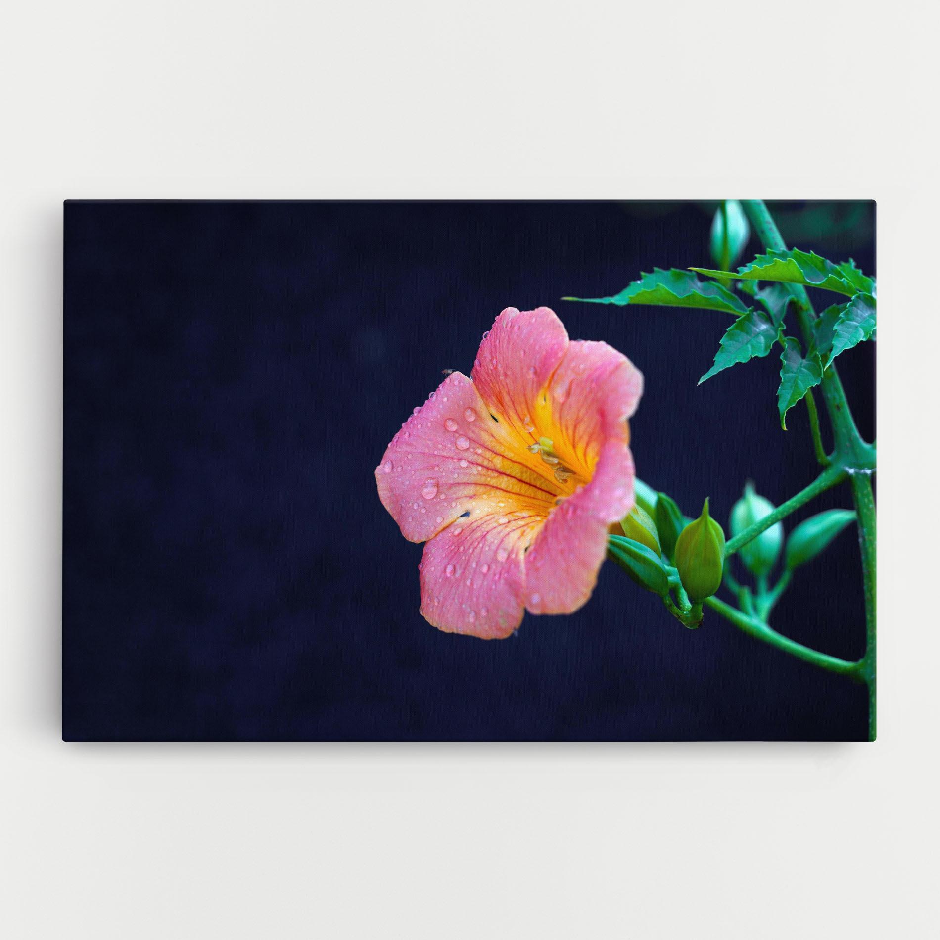 Tablou Canvas Exotic Pink Plant mockup 0