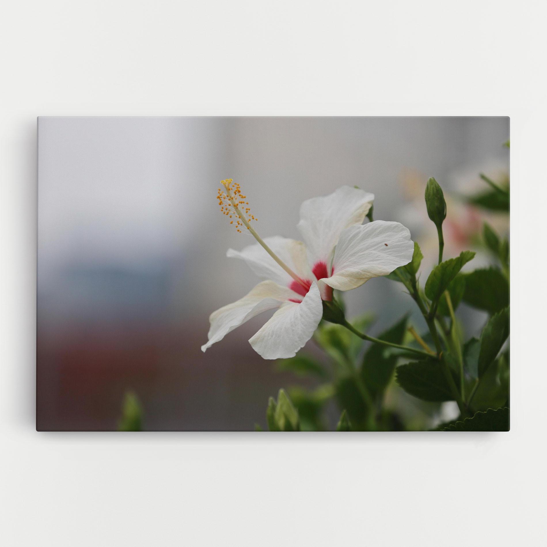 Tablou Canvas Exotic White Flower mockup 0