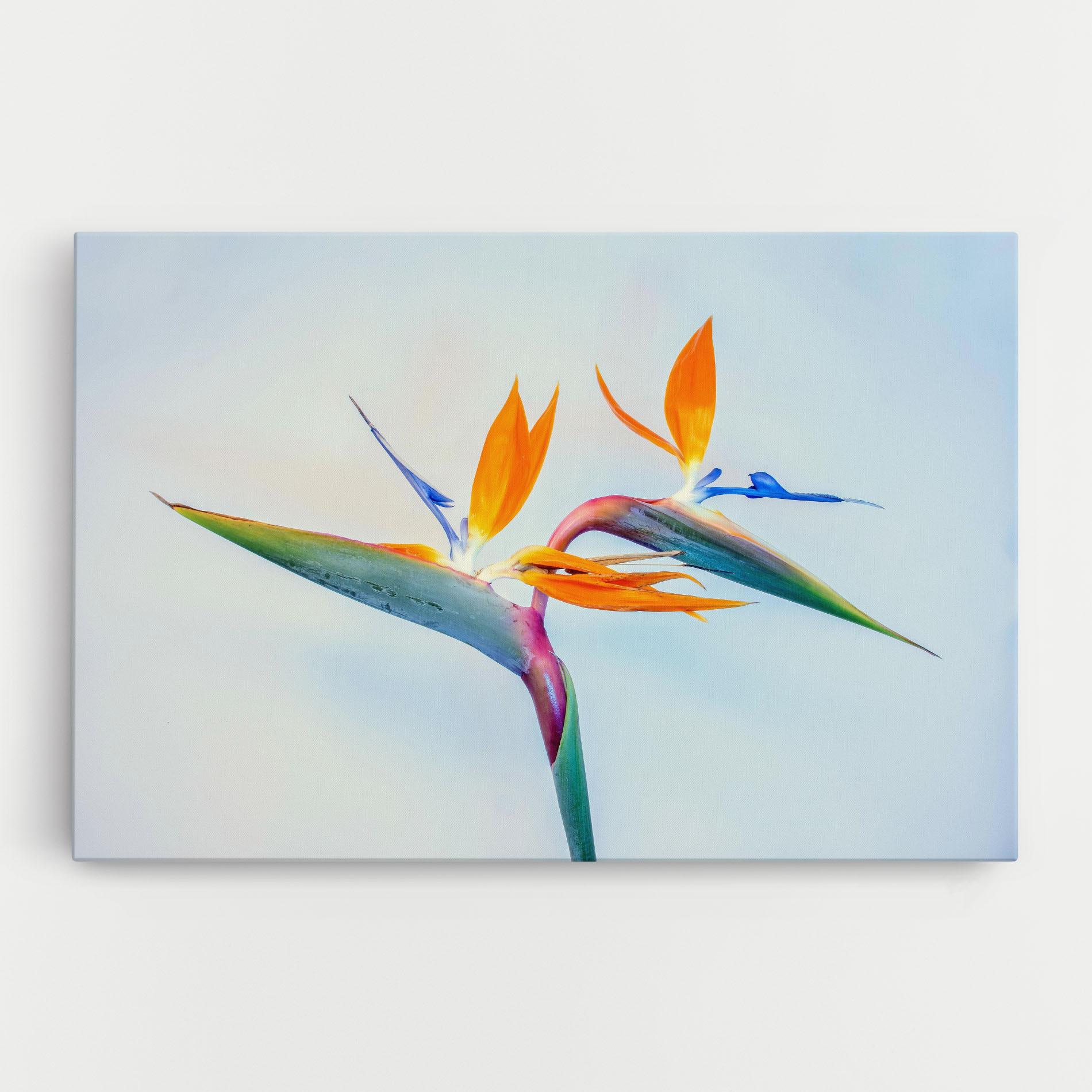 Tablou Canvas Green Orange Exotic mockup 0