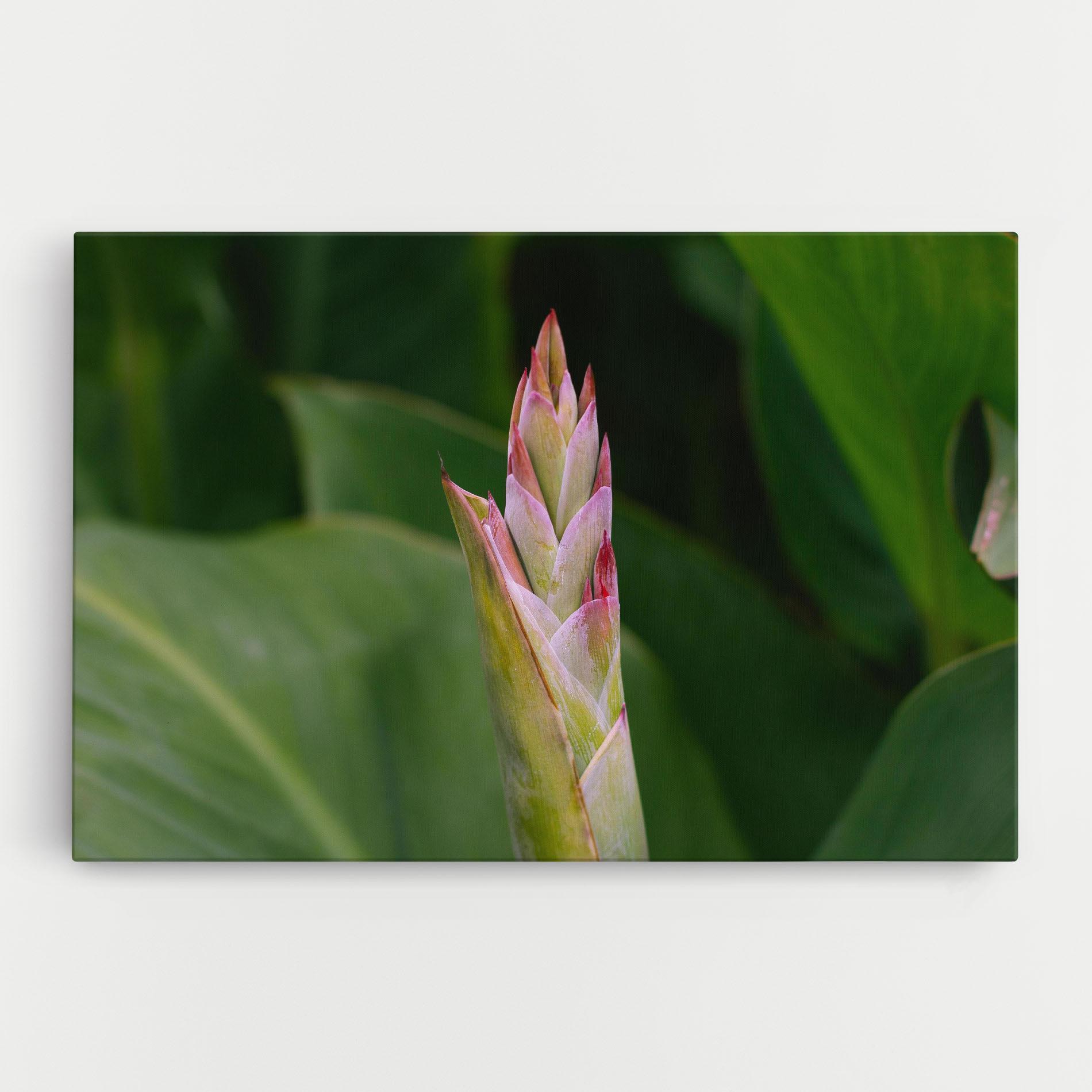 Tablou Canvas Light Pink Exotic mockup 0