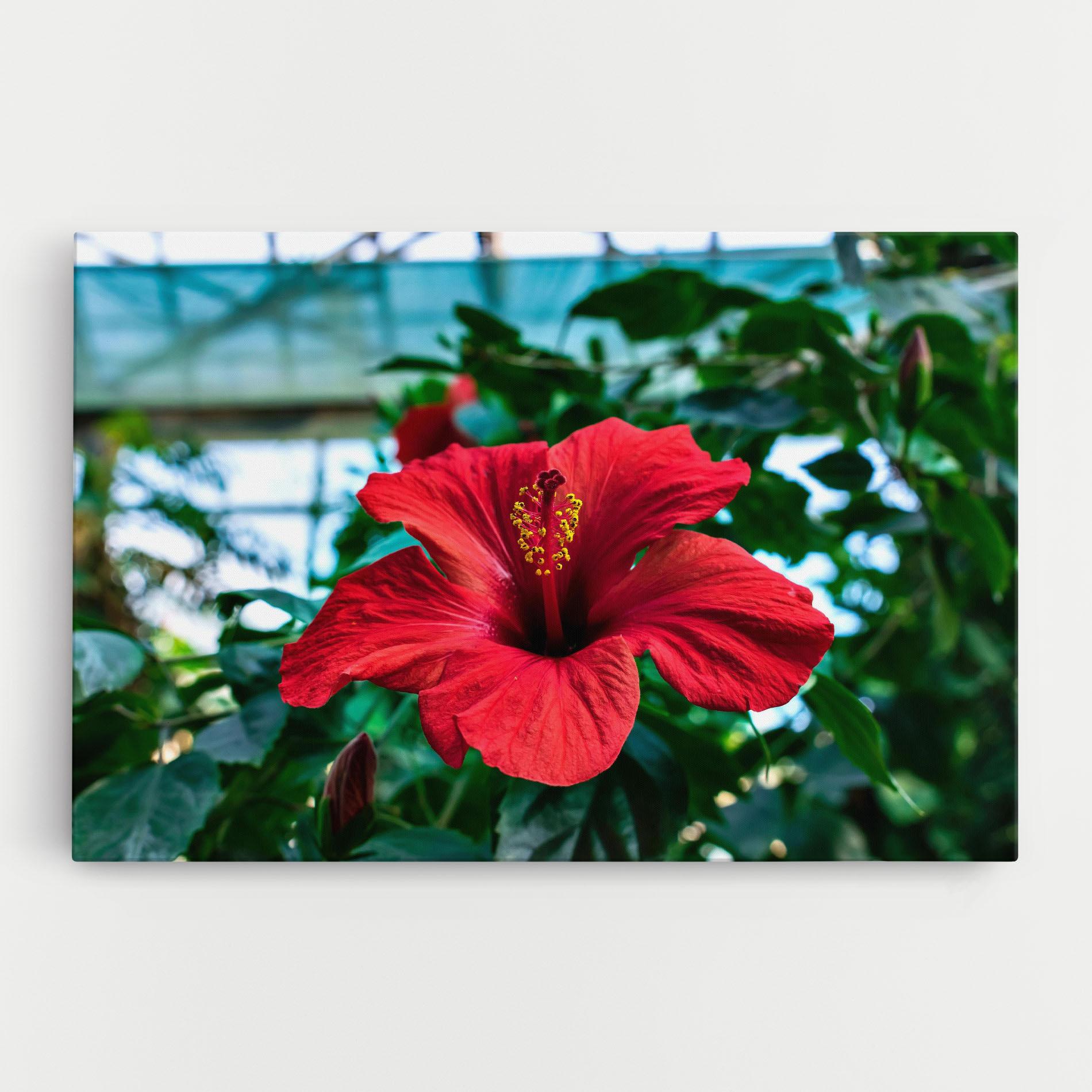 Tablou Canvas Red Exotic Plant mockup 0