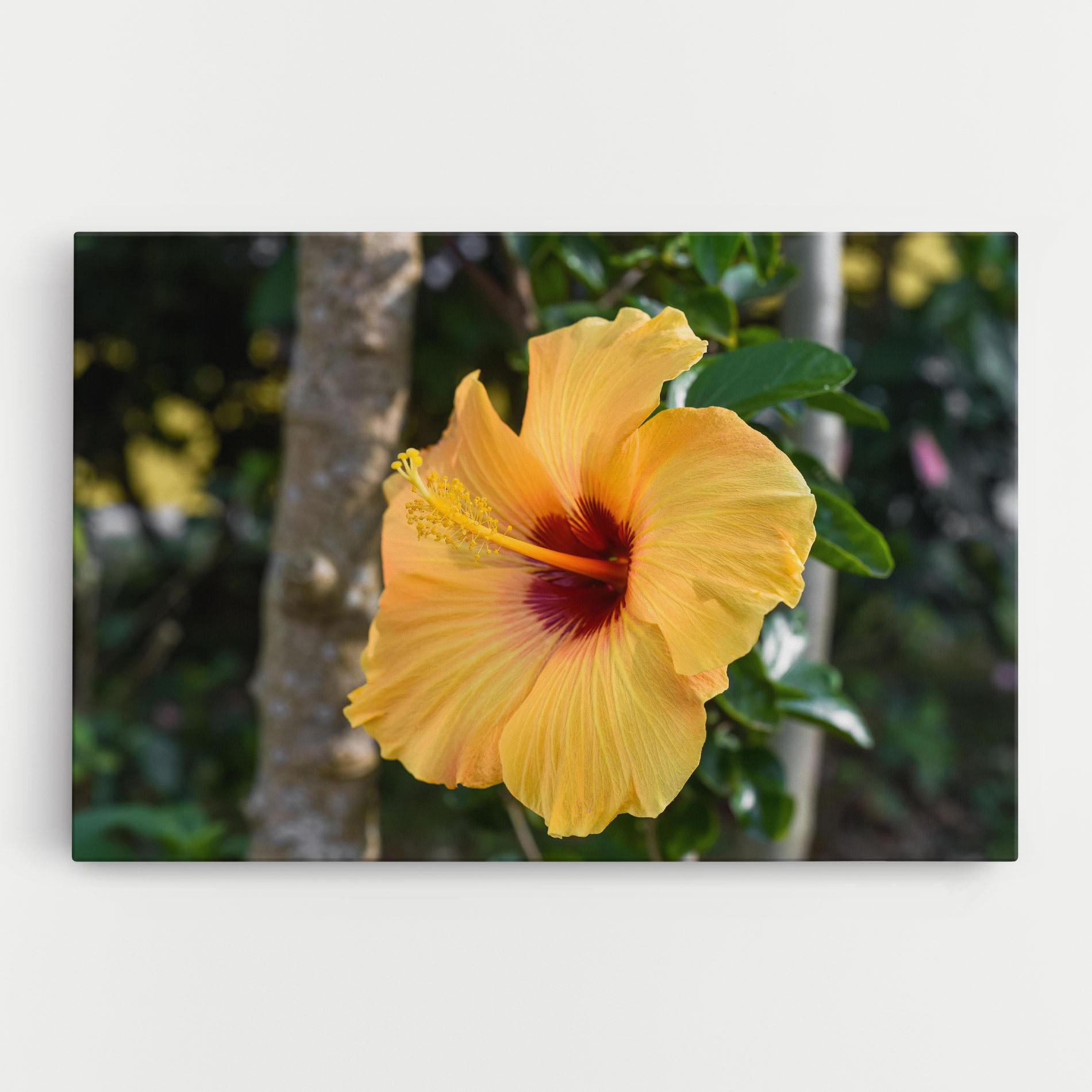 Tablou Canvas Yellow Hibiscus mockup 0