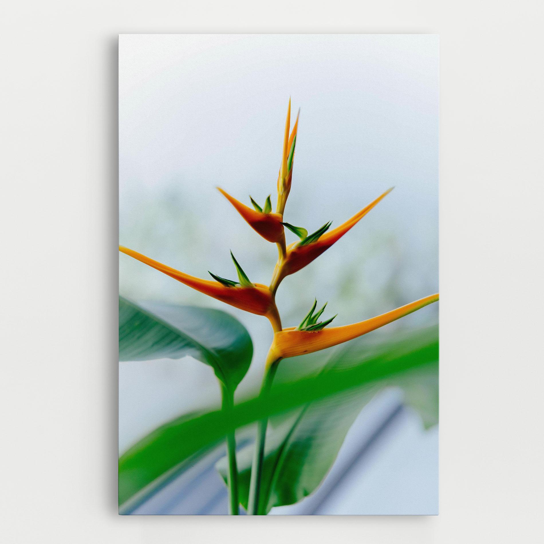 Tablou Canvas Exotic Orange Green mockup 0