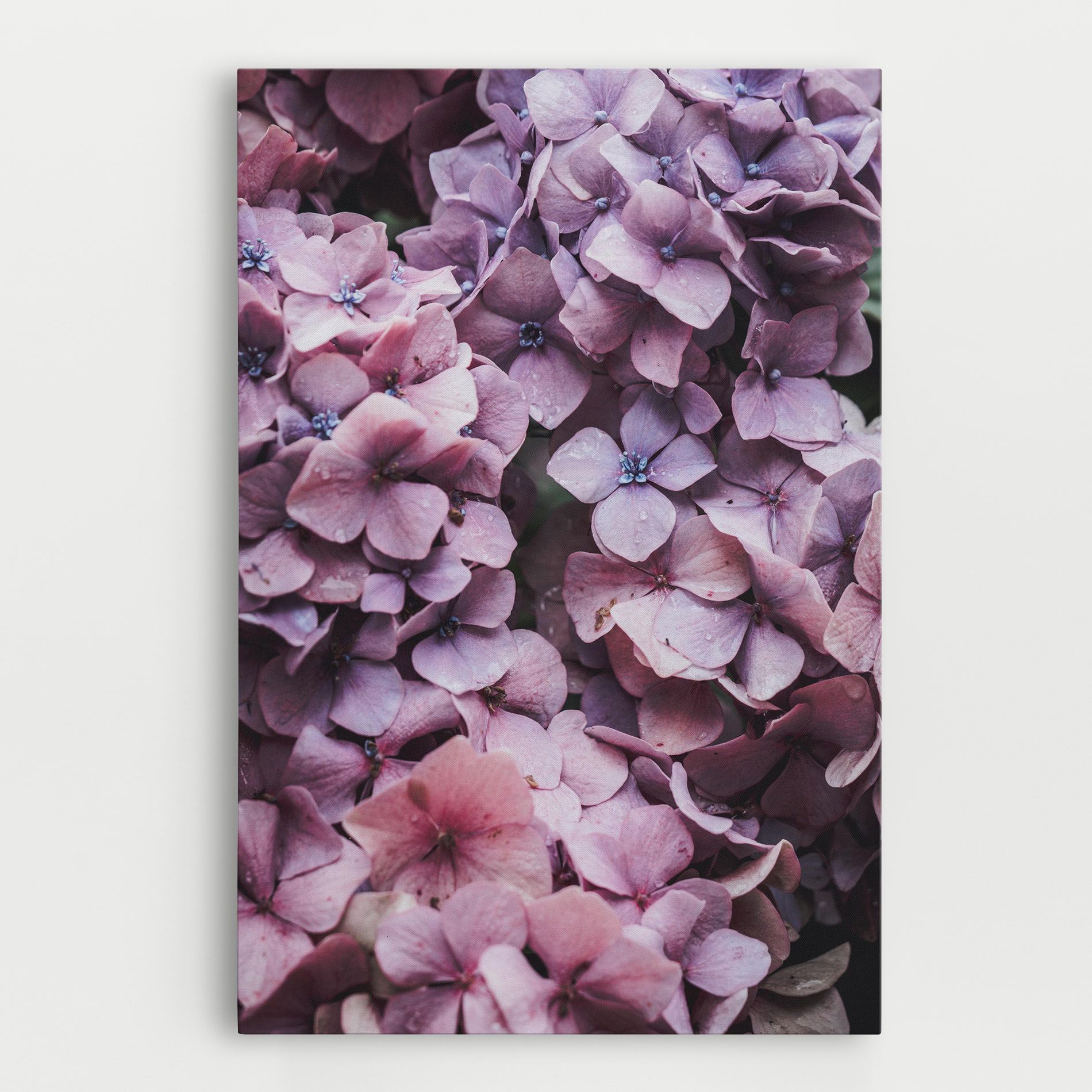 Lilac Tree mockup 0