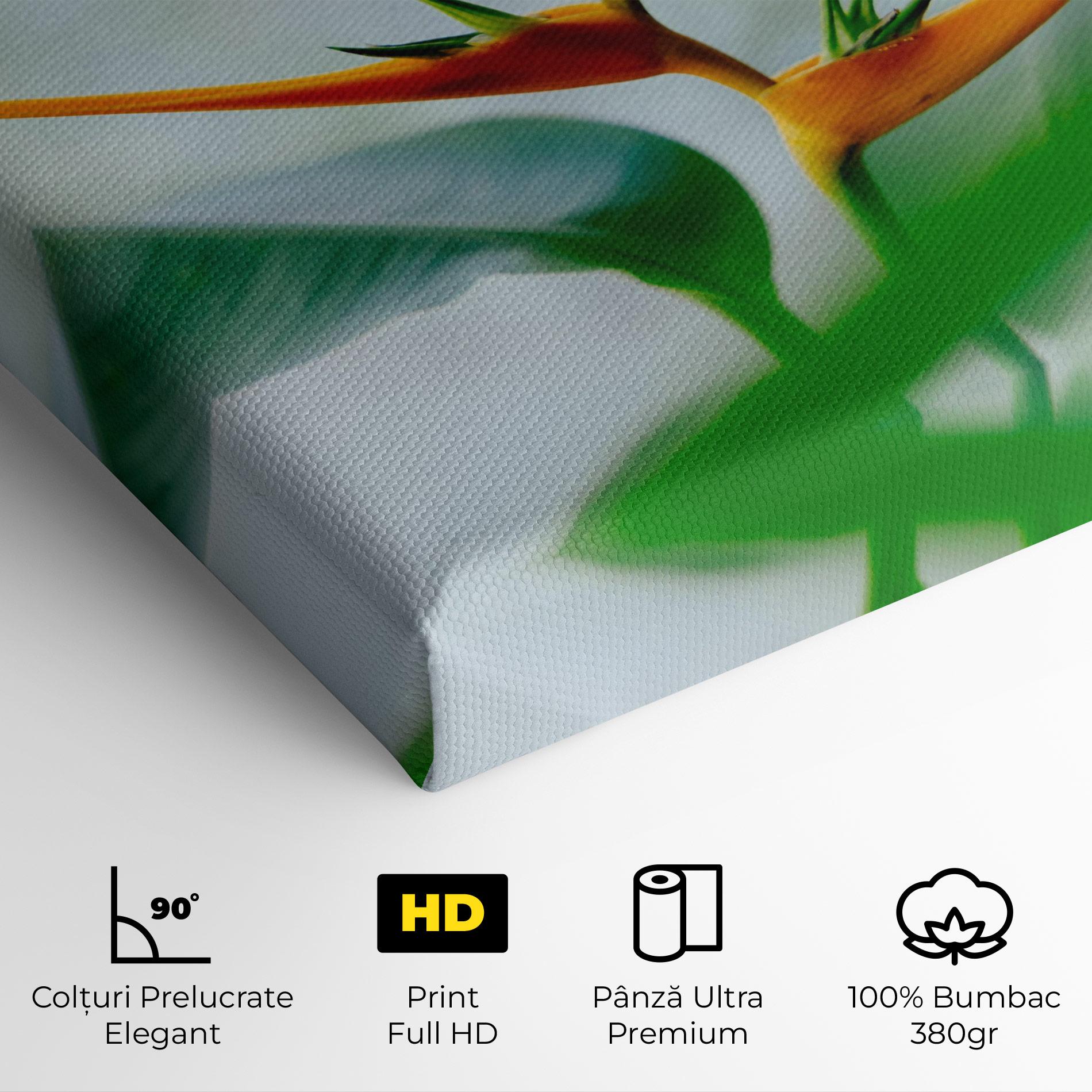 Tablou Canvas Exotic Orange Green mockup 4